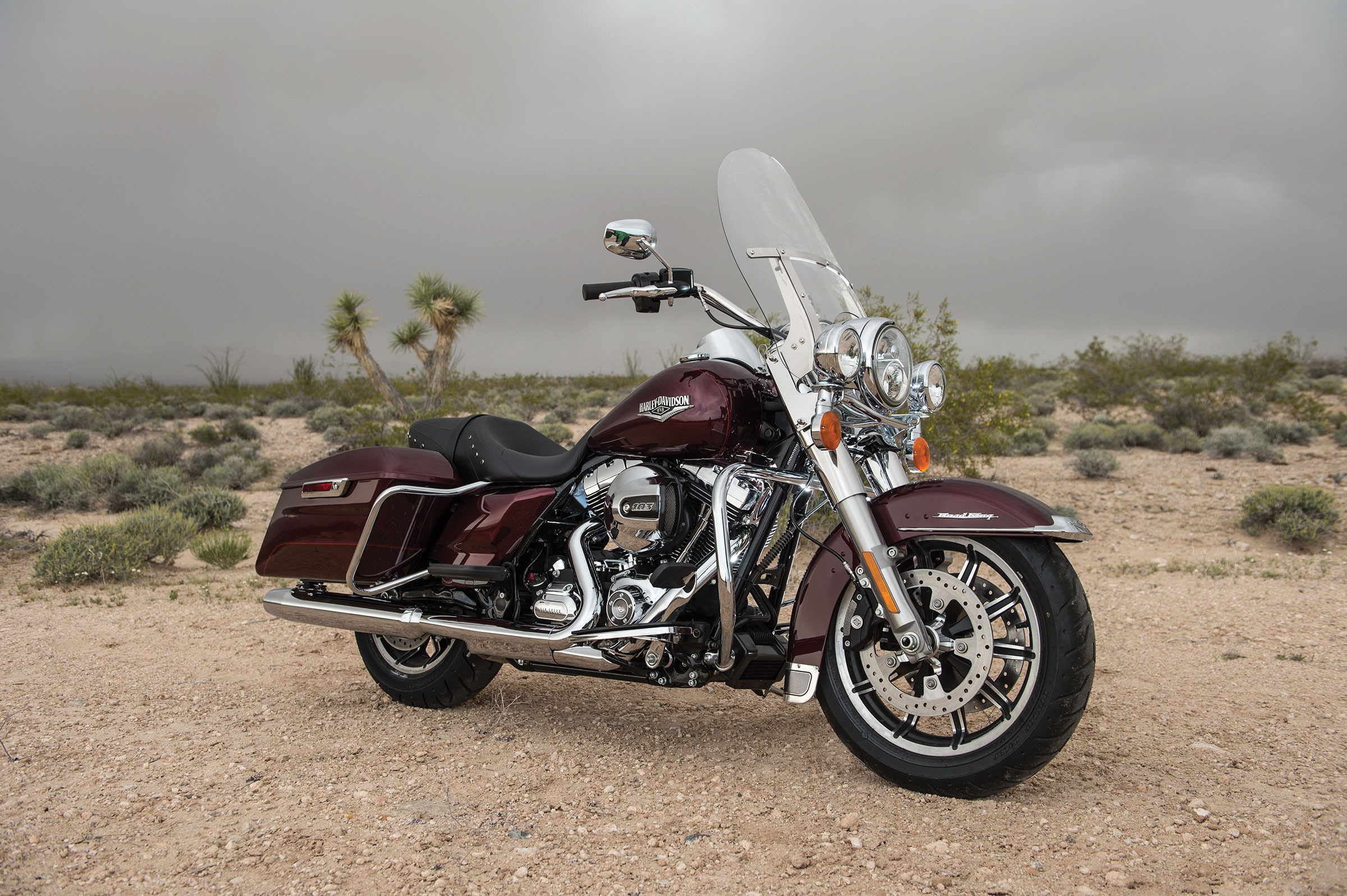 434614 Salvapantallas y fondos de pantalla Rey De La Carretera De Harley Davidson en tu teléfono. Descarga imágenes de  gratis