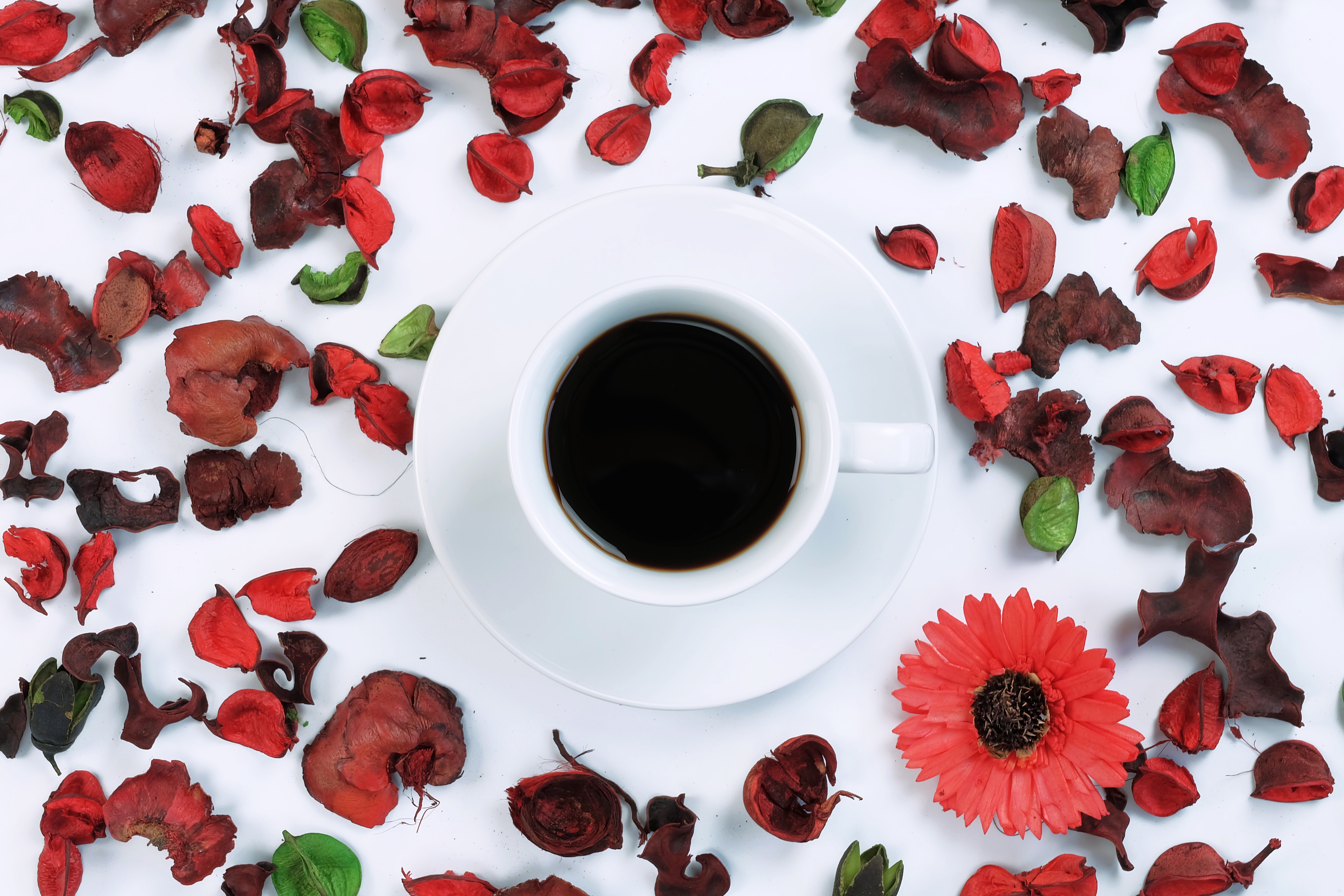 Laden Sie das Tasse, Blütenblatt, Nahrungsmittel, Kaffee-Bild kostenlos auf Ihren PC-Desktop herunter