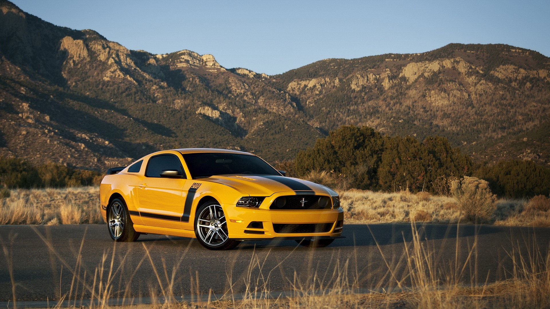 Free download wallpaper Ford, Ford Mustang, Vehicles on your PC desktop