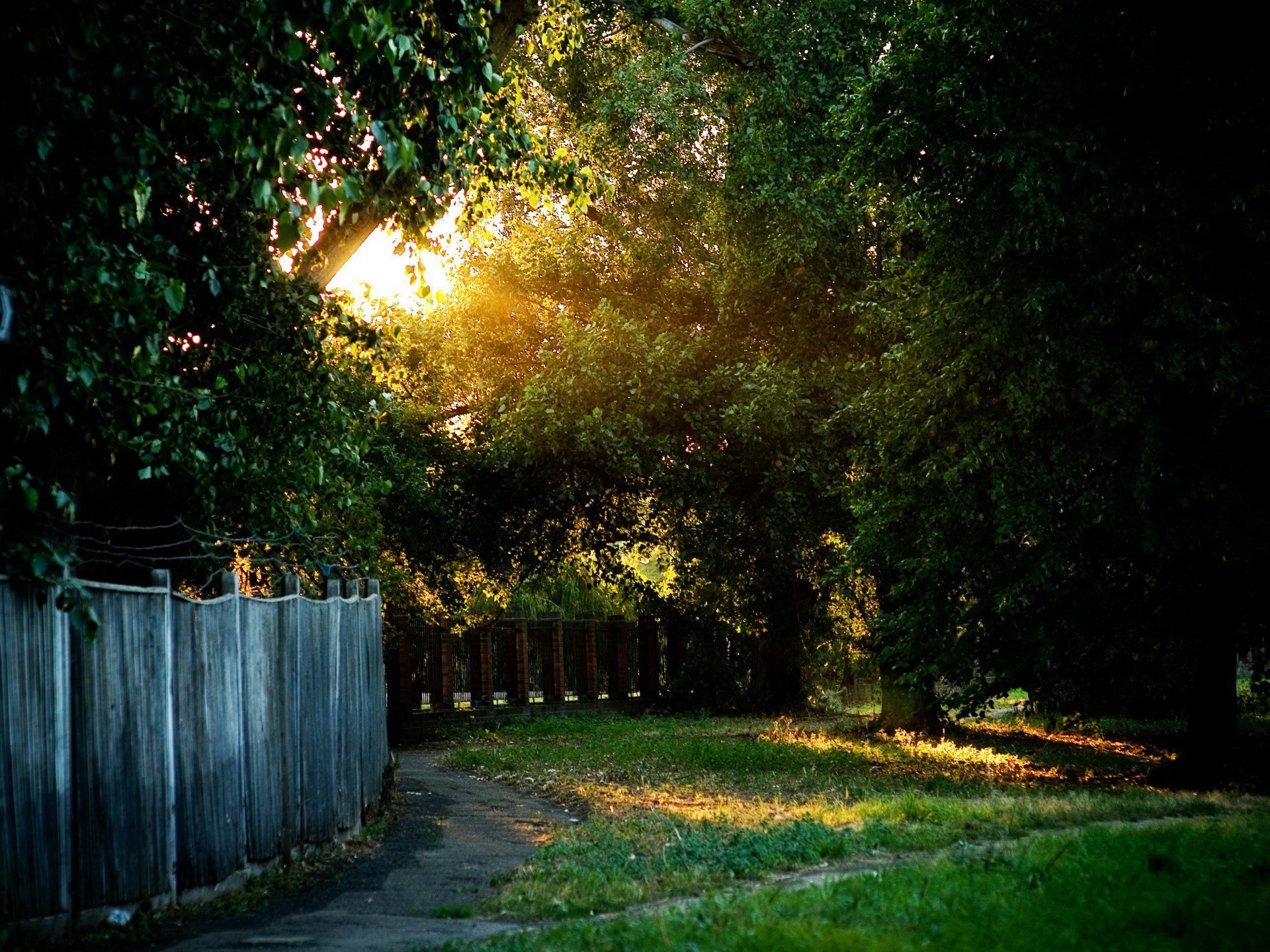 courtyard, enclosure, wire, nature, trees, shine, light, path, fence, trail, fencing, yard