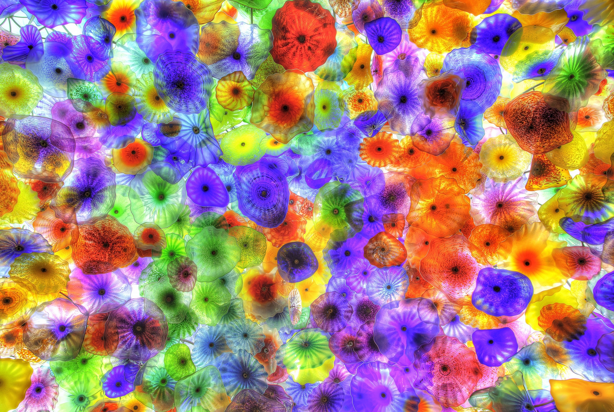 135408 скачать обои фон, медузы, яркий, разноцветные, абстракция - заставки и картинки бесплатно