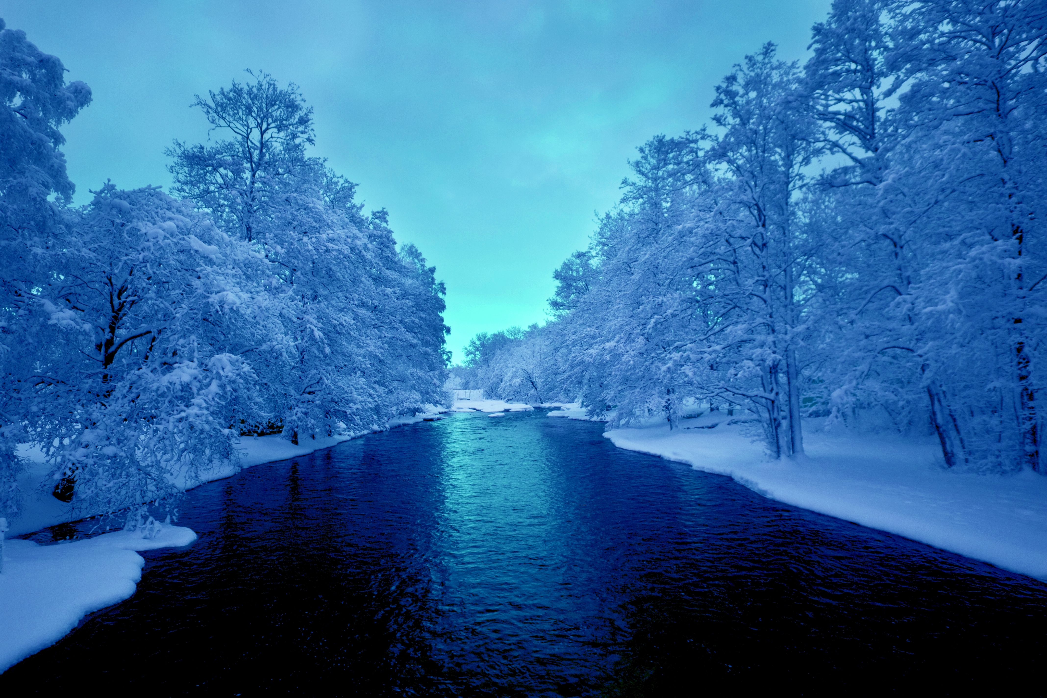 Download mobile wallpaper Winter, Snow, Tree, Earth, River for free.