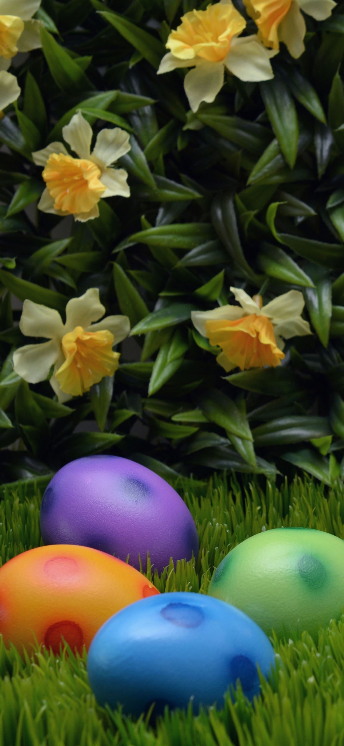 Download mobile wallpaper Easter, Holiday, Easter Egg for free.