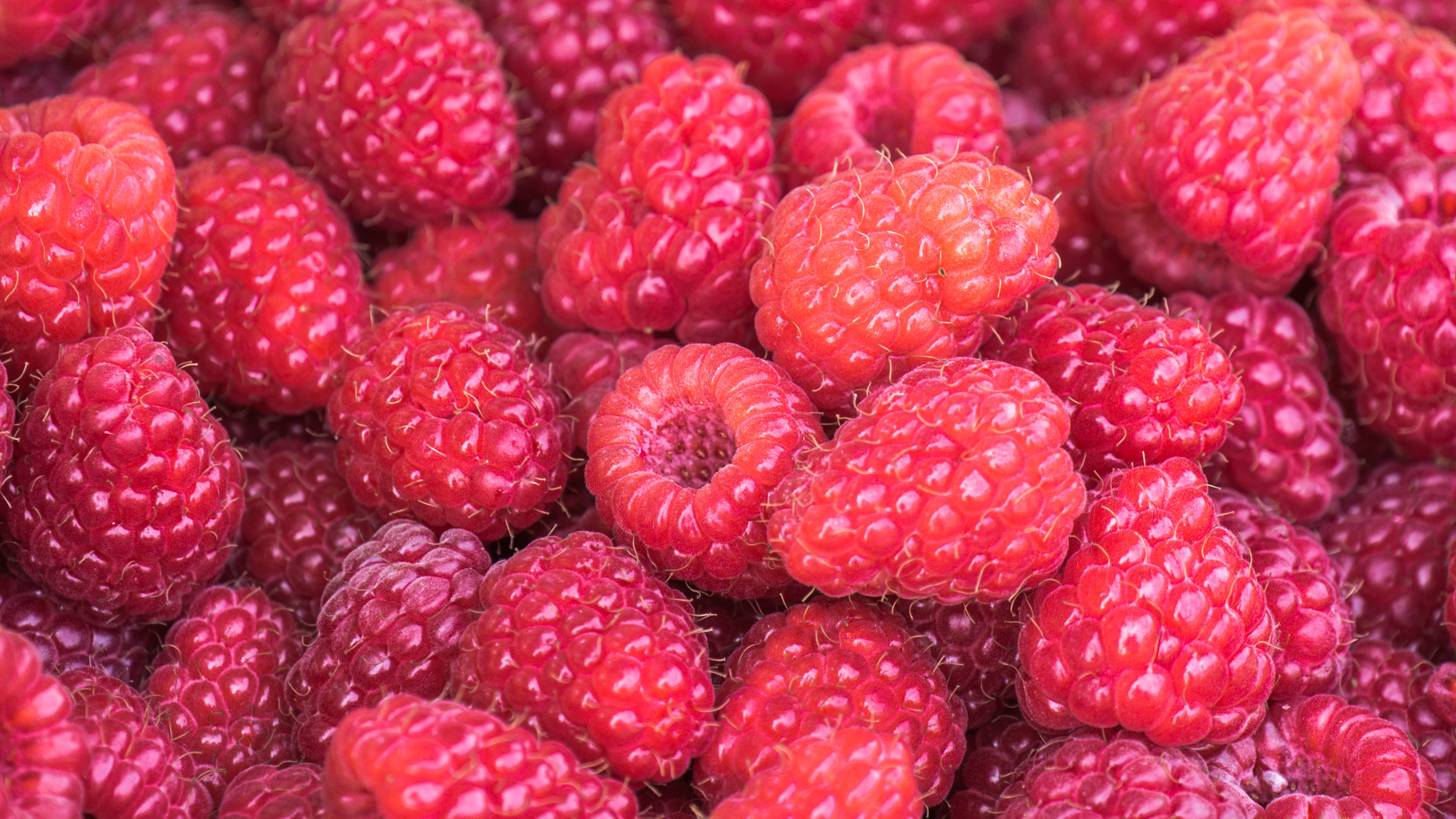 food, summer, raspberry, berries, vitamins, ripe