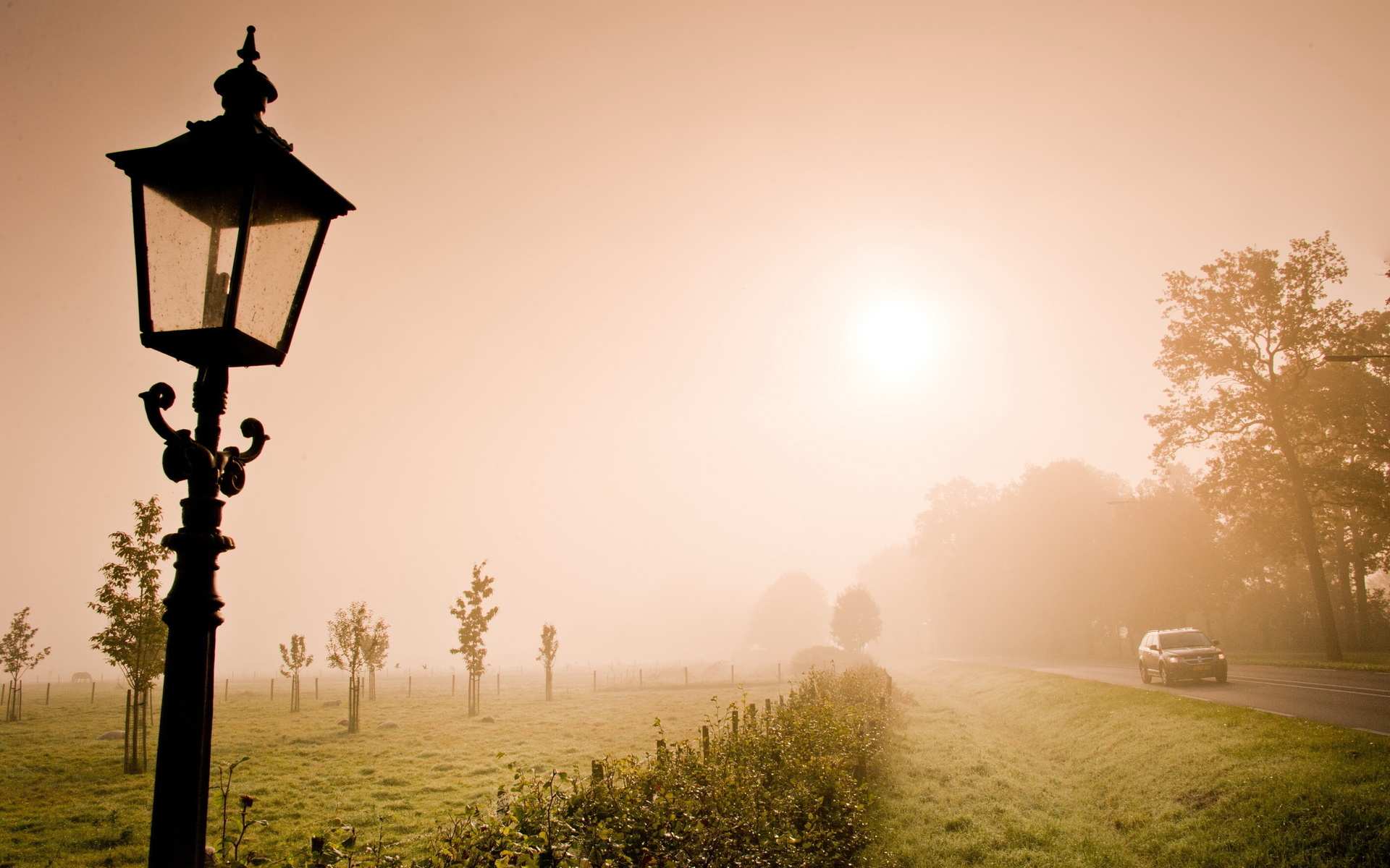 Laden Sie das Laternenmast, Menschengemacht, Nebel, Landschaft-Bild kostenlos auf Ihren PC-Desktop herunter