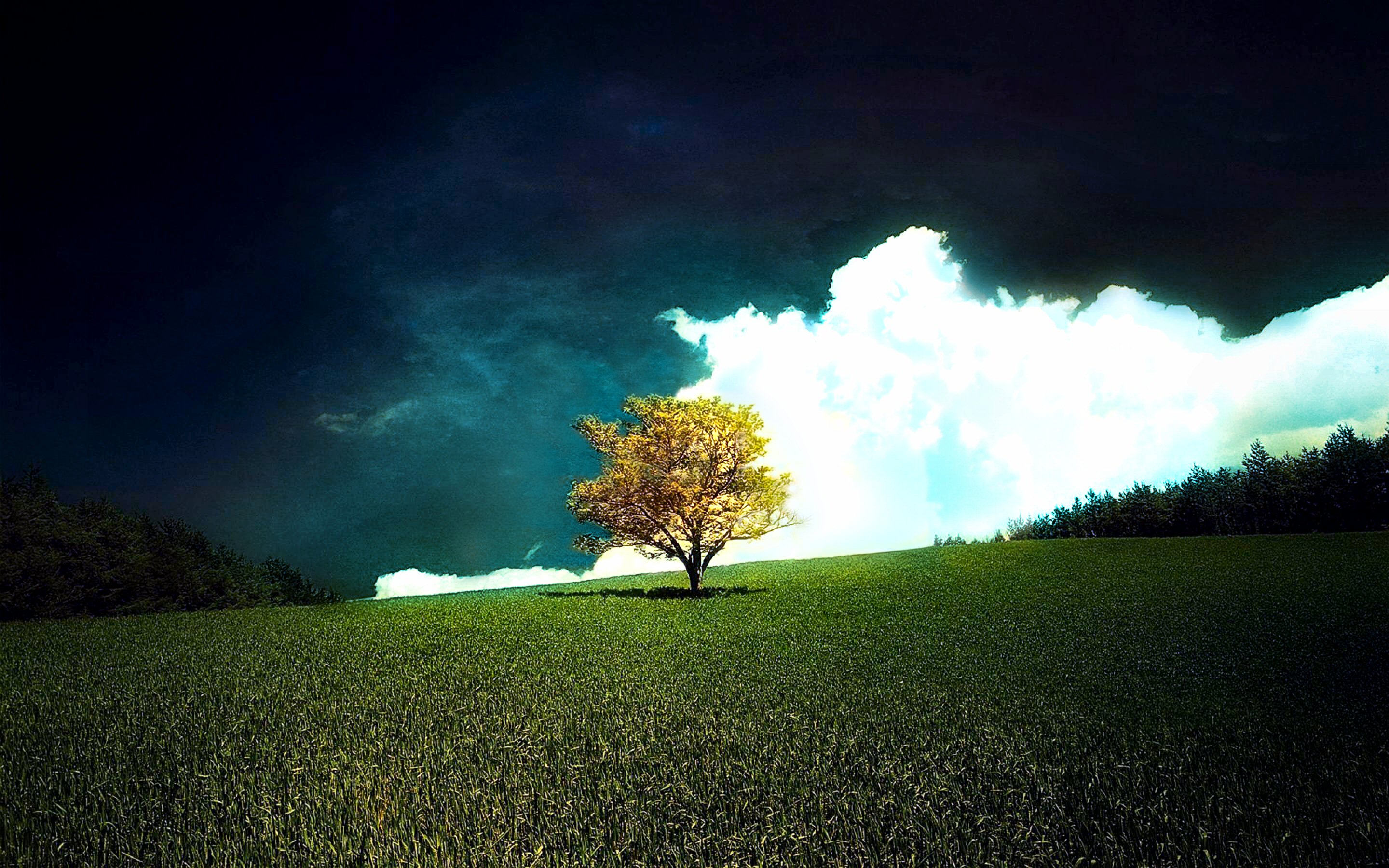 1464963 скачать обои одинокое дерево, земля/природа, дерево, облако, поле, луг, небо - заставки и картинки бесплатно