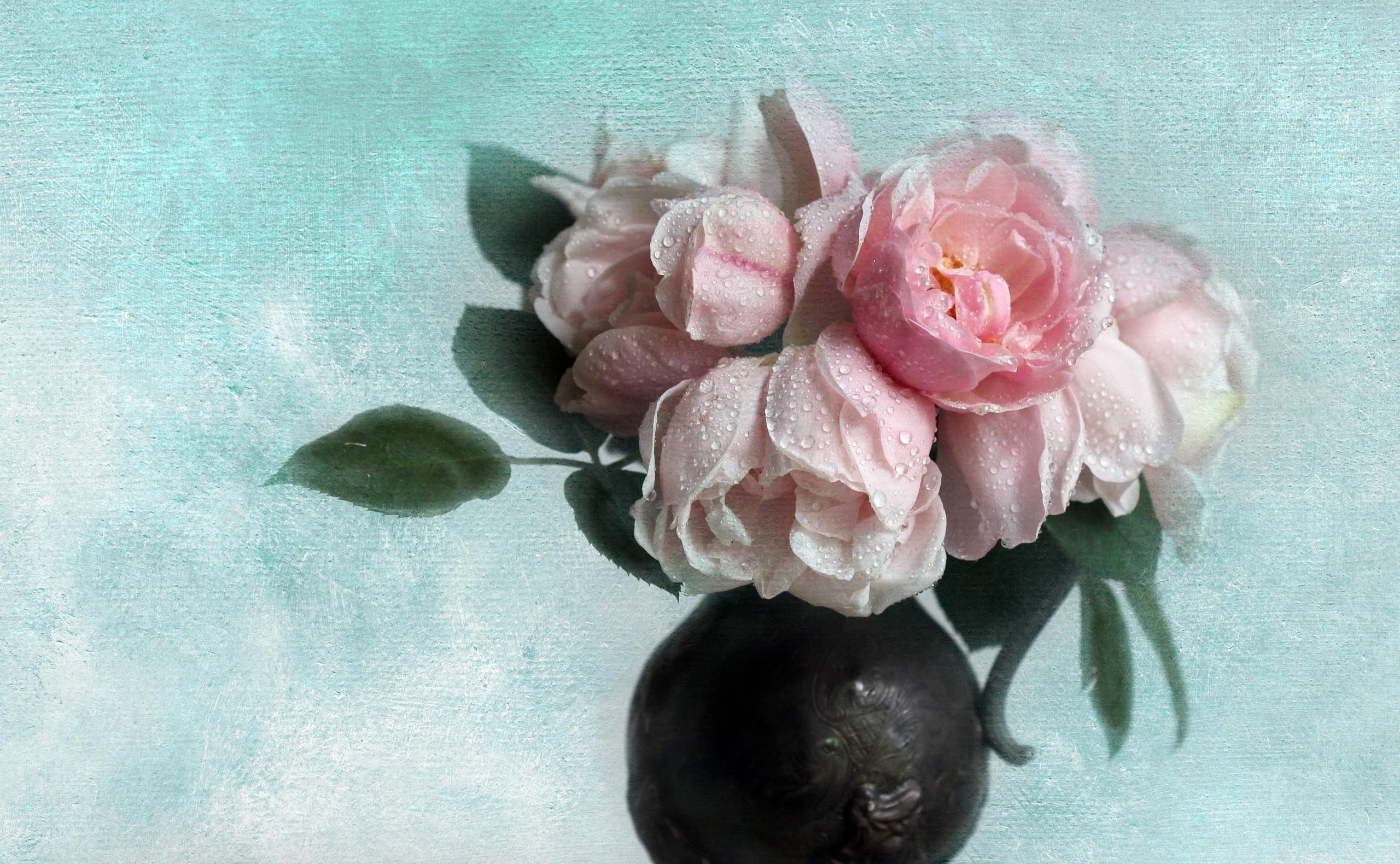 Download mobile wallpaper Leaves, Flowers, Rose, Rose Flower, Vase, Drops for free.