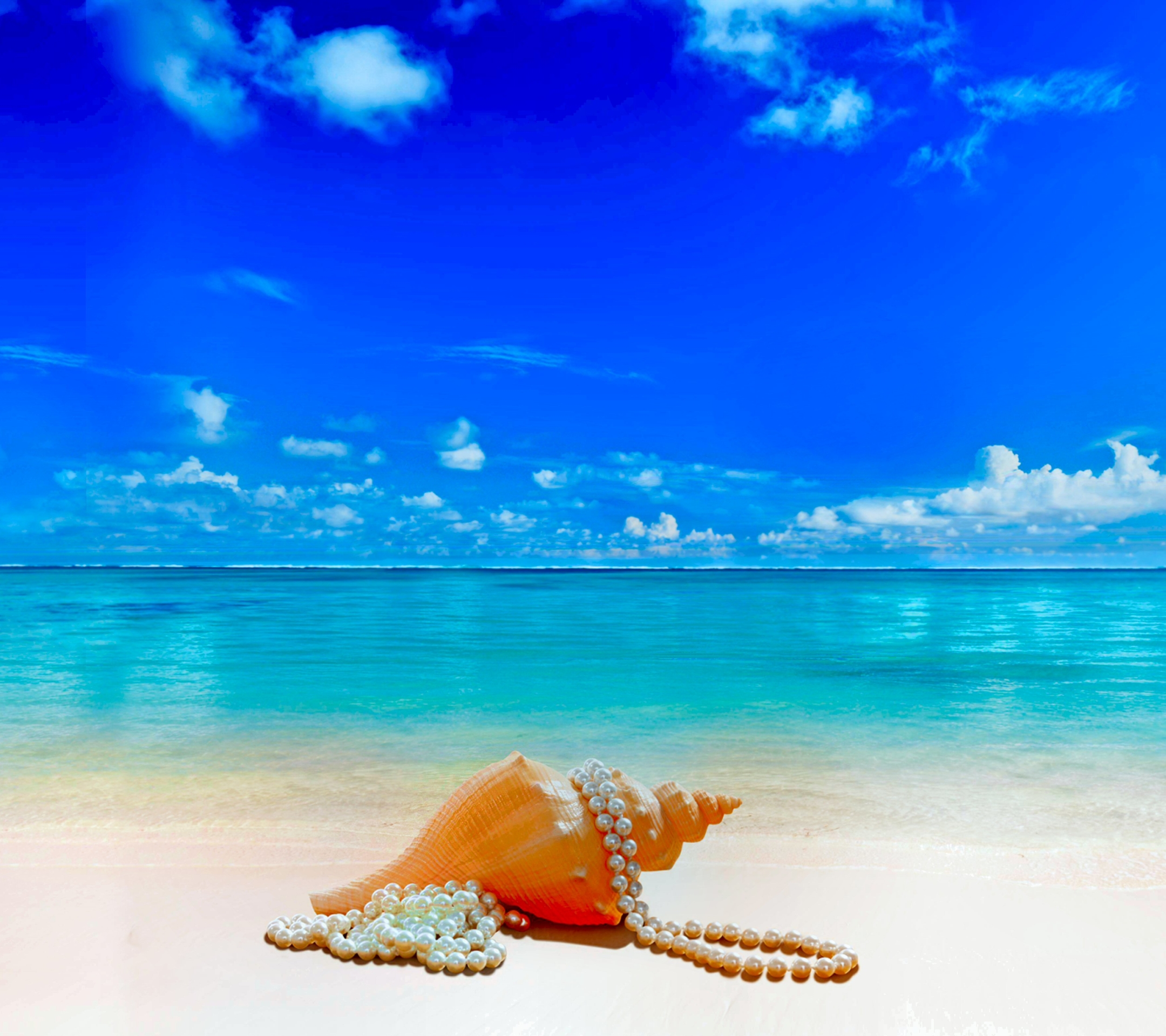 Laden Sie das Natur, Strand, Sommer, Horizont, Tropisch, Wolke, Perle, Muschel, Fotografie, Himmel, Hülse-Bild kostenlos auf Ihren PC-Desktop herunter