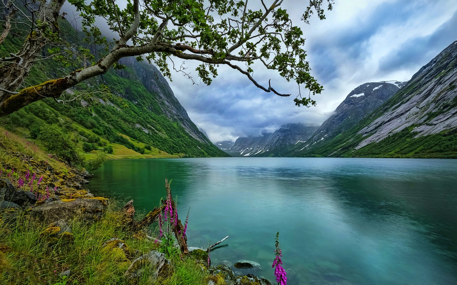Скачать картинку Озера, Гора, Озеро, Дерево, Зеленый, Норвегия, Земля/природа в телефон бесплатно.