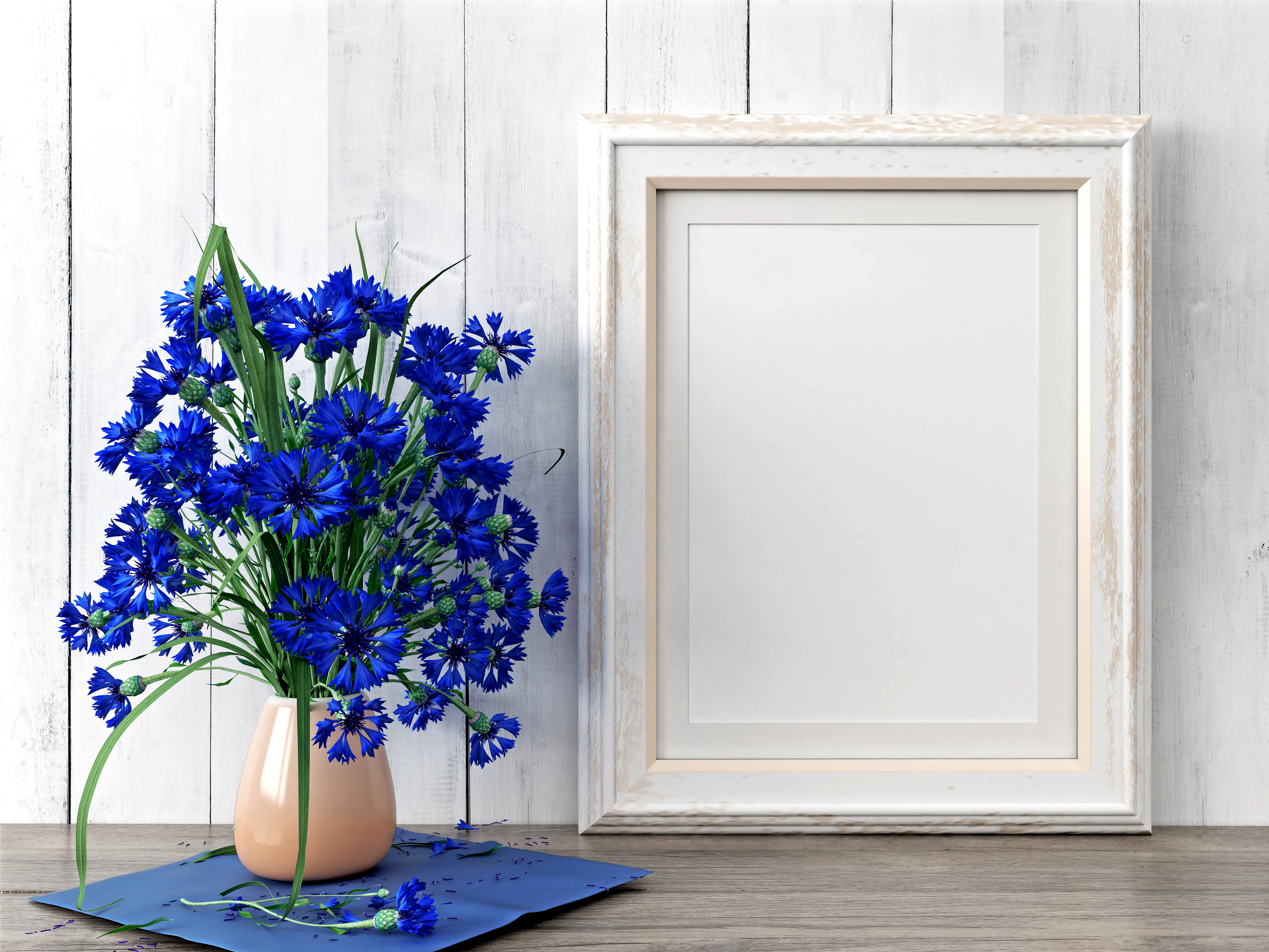 photography, still life, blue flower, cornflower, flower, vase