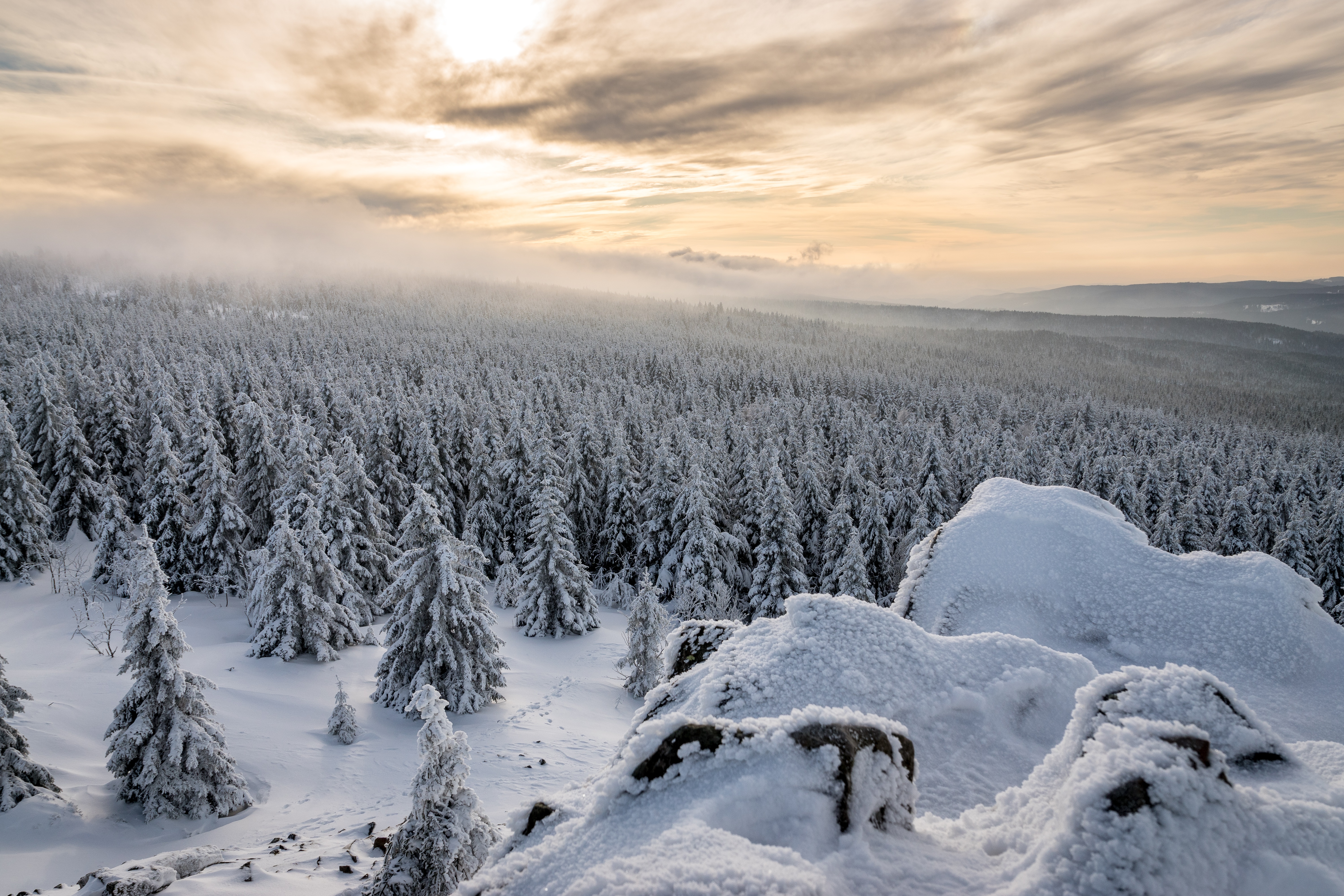 Скачать обои бесплатно Зима, Природа, Снег, Лес, Ландшафт, Земля/природа картинка на рабочий стол ПК