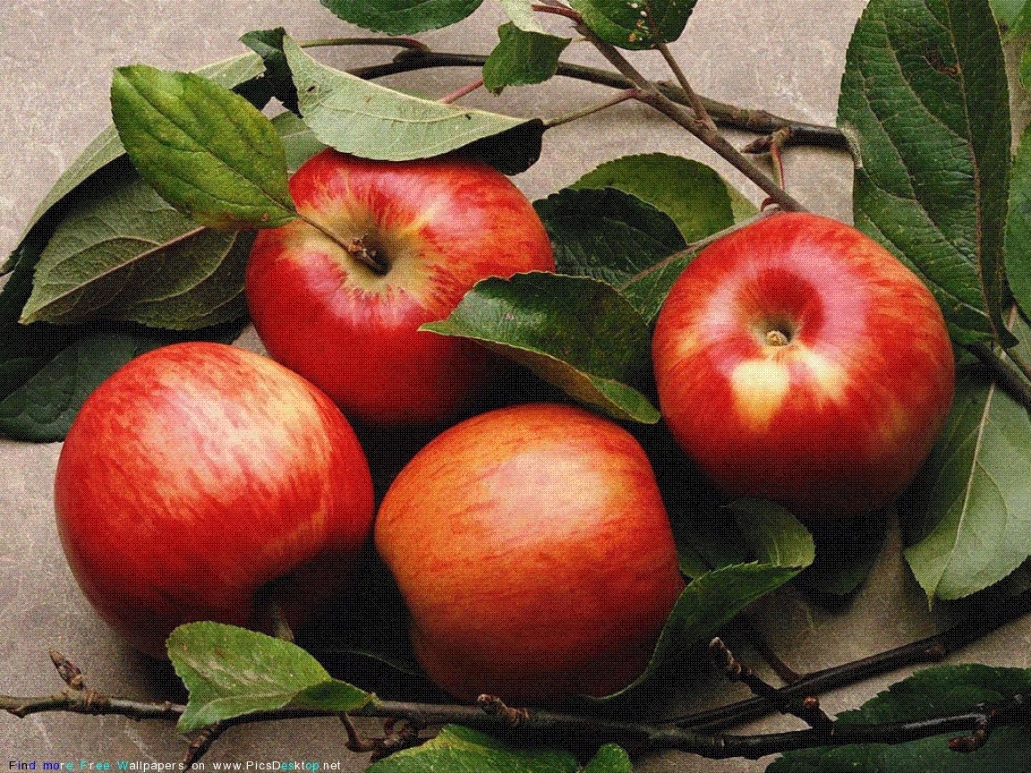 Handy-Wallpaper Obst, Lebensmittel, Äpfel, Pflanzen kostenlos herunterladen.