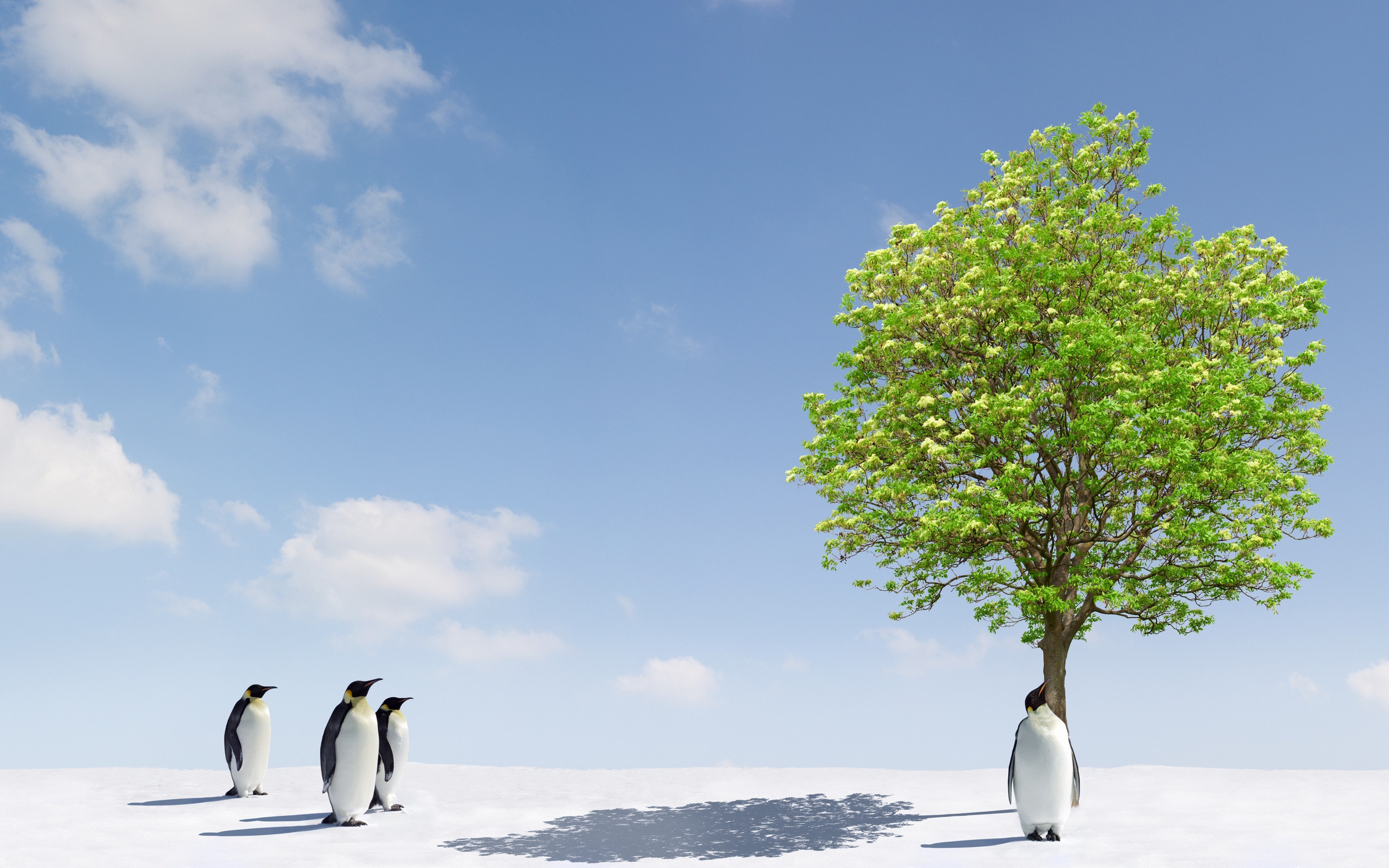 Скачать картинку Пингвин, Художественный, Животные, Дерево в телефон бесплатно.