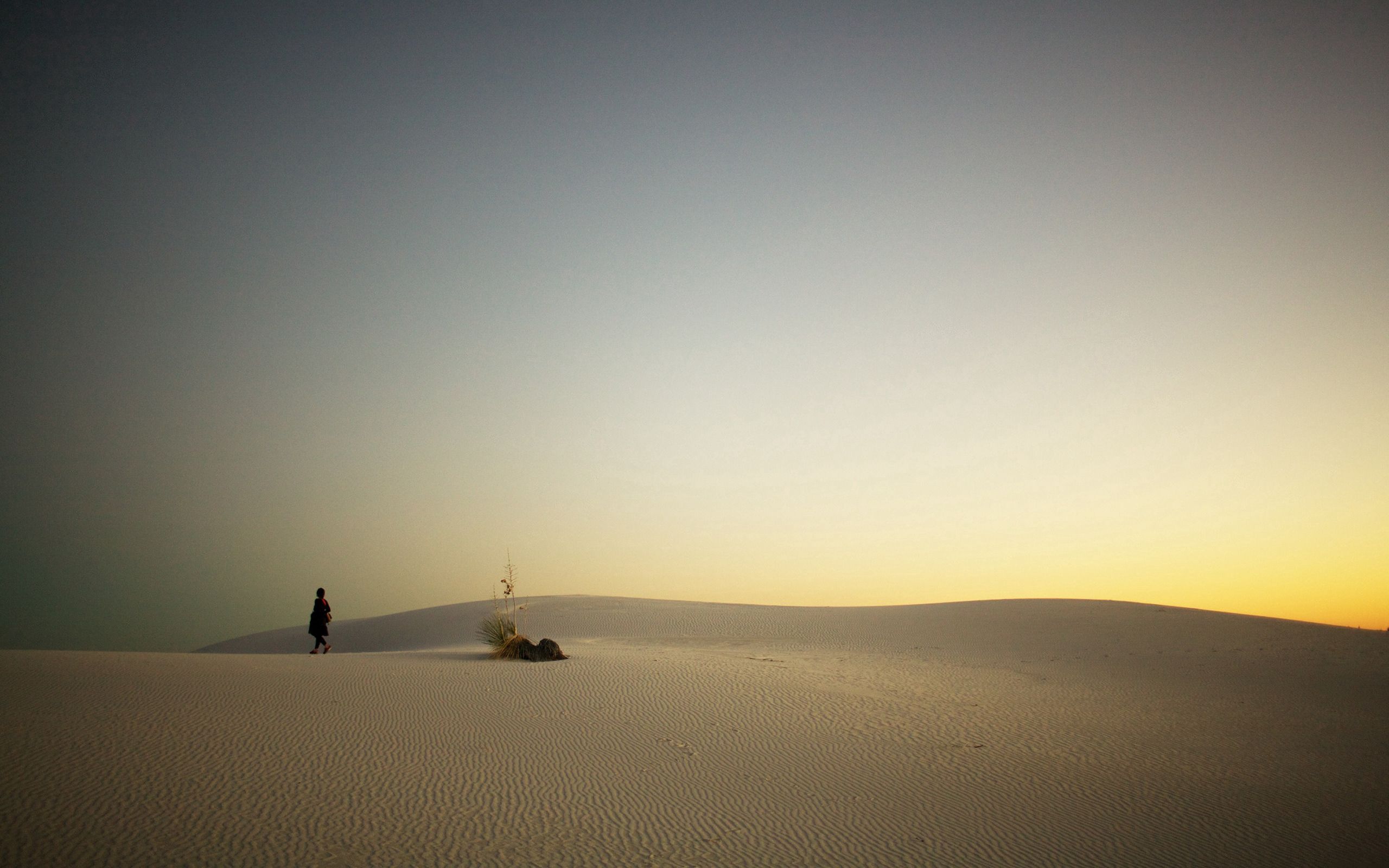 129652 скачать обои путник, природа, закат, песок, пустыня, вечер - заставки и картинки бесплатно