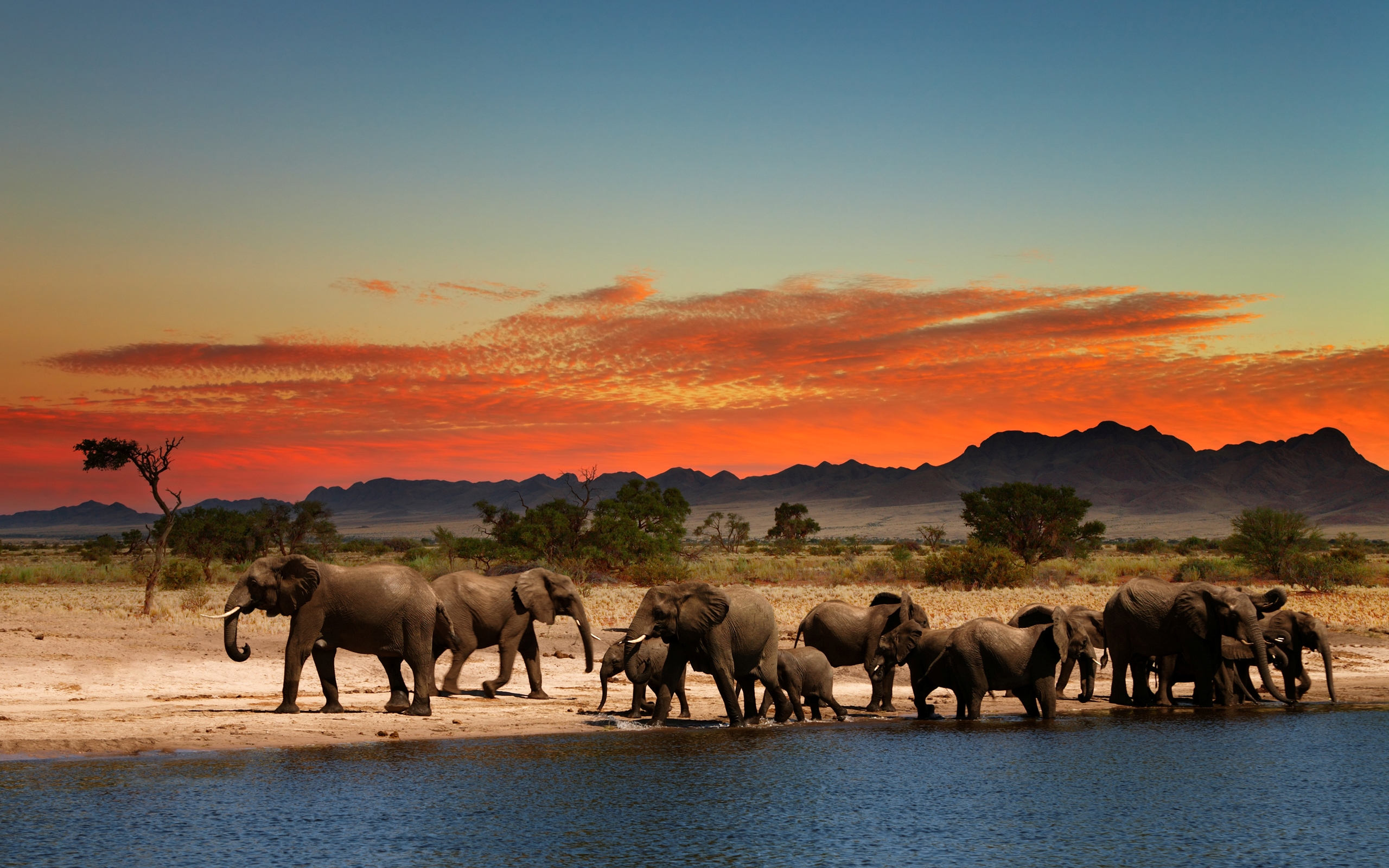 288458 Hintergrundbild herunterladen tiere, afrikanischer elefant, tierbaby, landschaft, savanne, elefanten - Bildschirmschoner und Bilder kostenlos