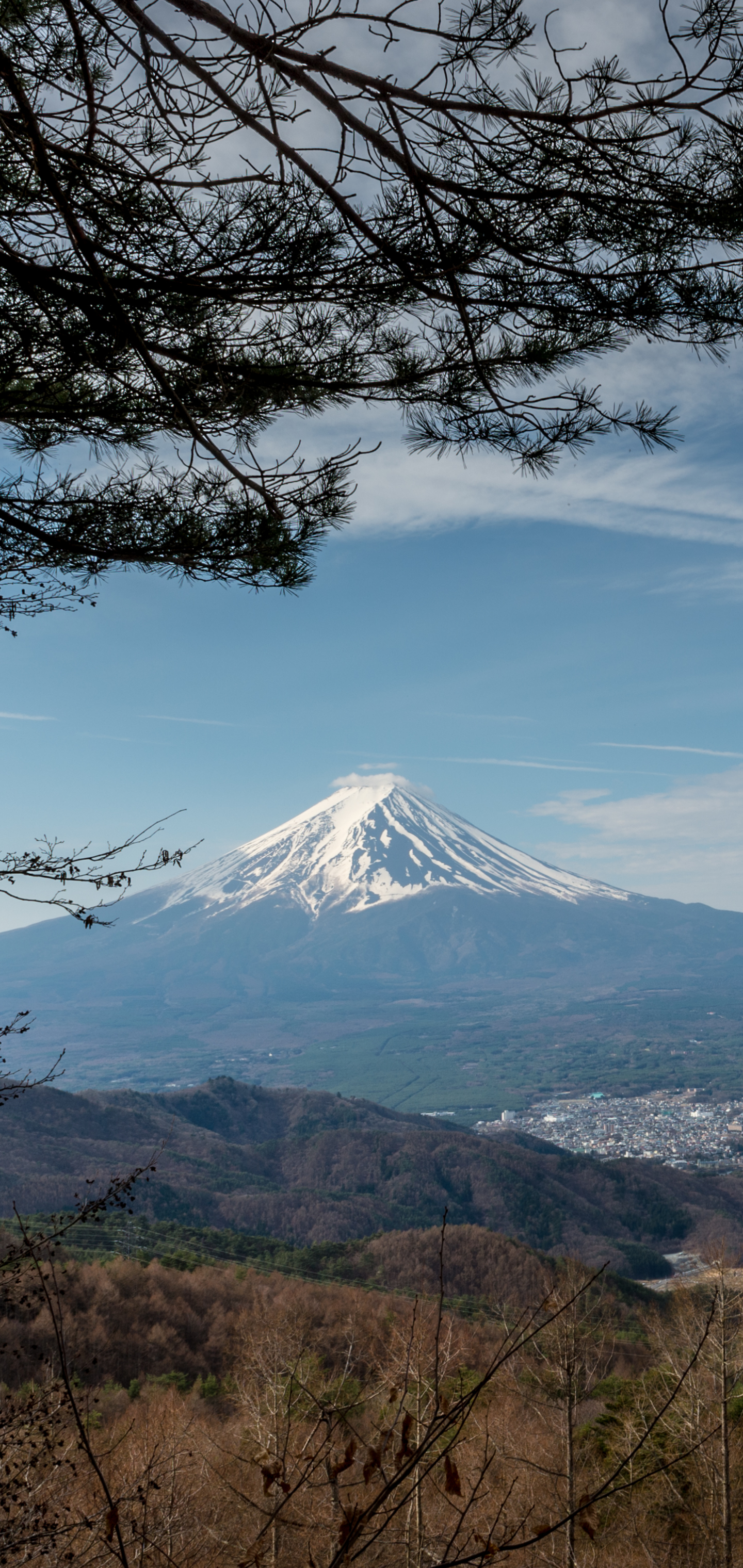 Descarga gratuita de fondo de pantalla para móvil de Japón, Primavera, Monte Fuji, Volcanes, Tierra/naturaleza, Lago Kawaguchi.