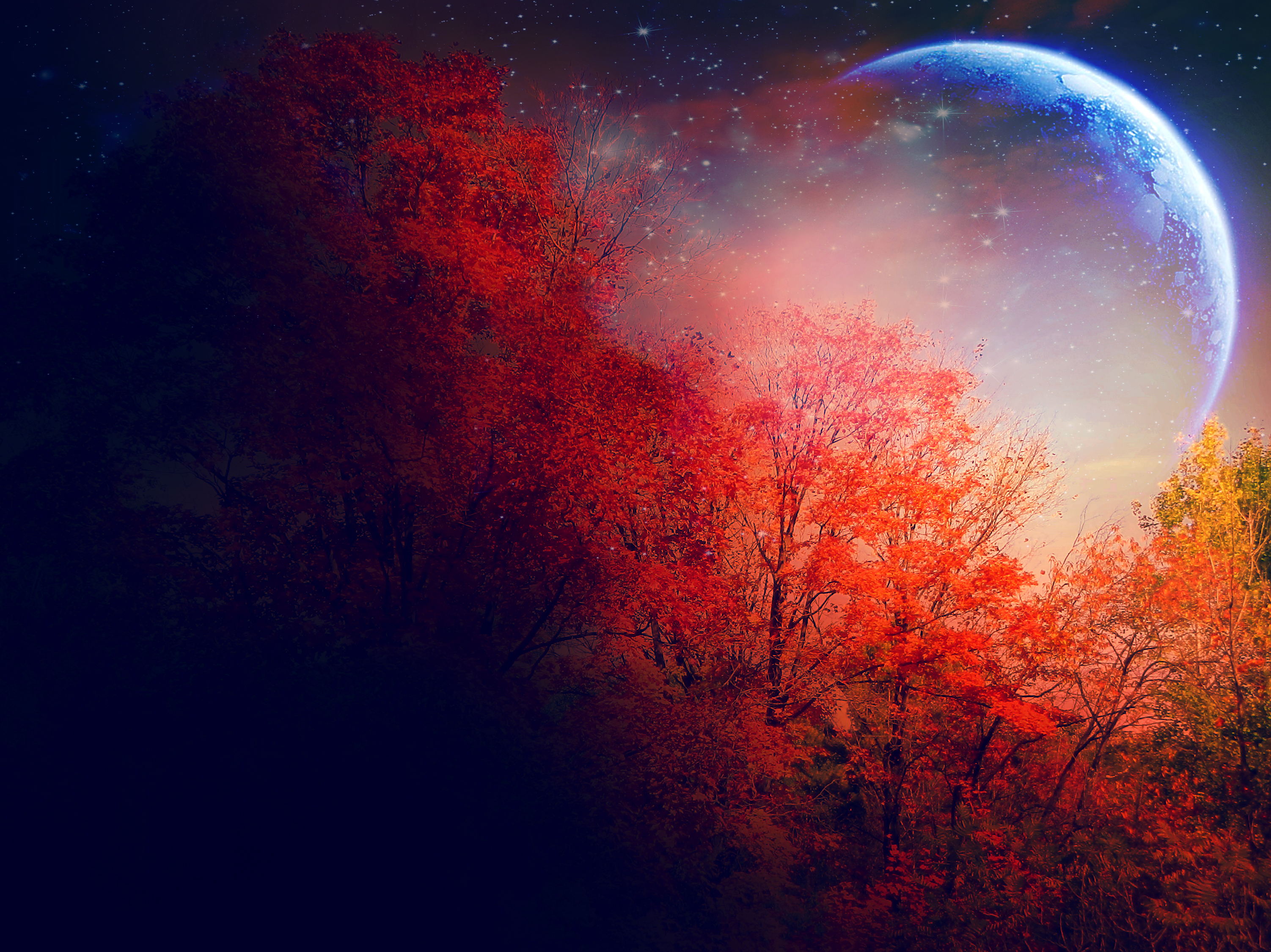 Скачать обои бесплатно Осень, Луна, Дерево, Художественные, Оранжевый Цвет) картинка на рабочий стол ПК