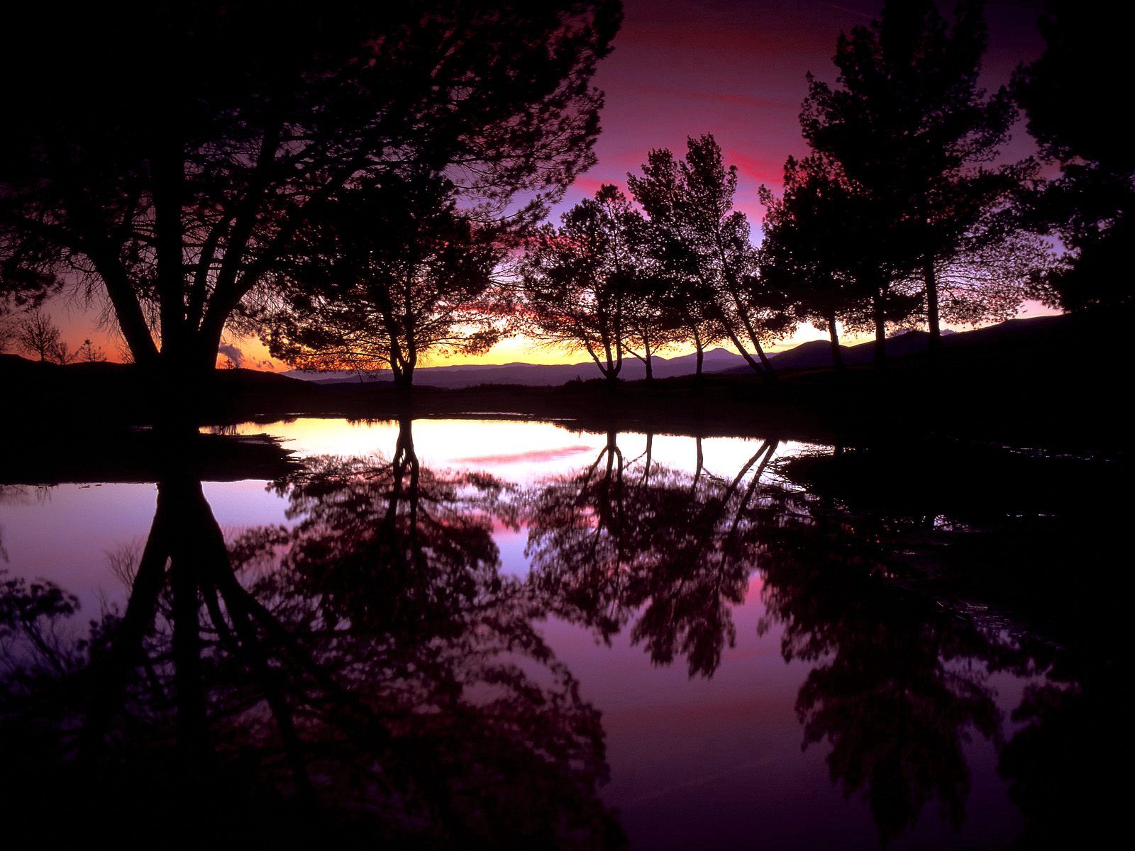 Descarga gratuita de fondo de pantalla para móvil de Naturaleza, Reflexión, Santa Clarita, Lago, Árboles, California.
