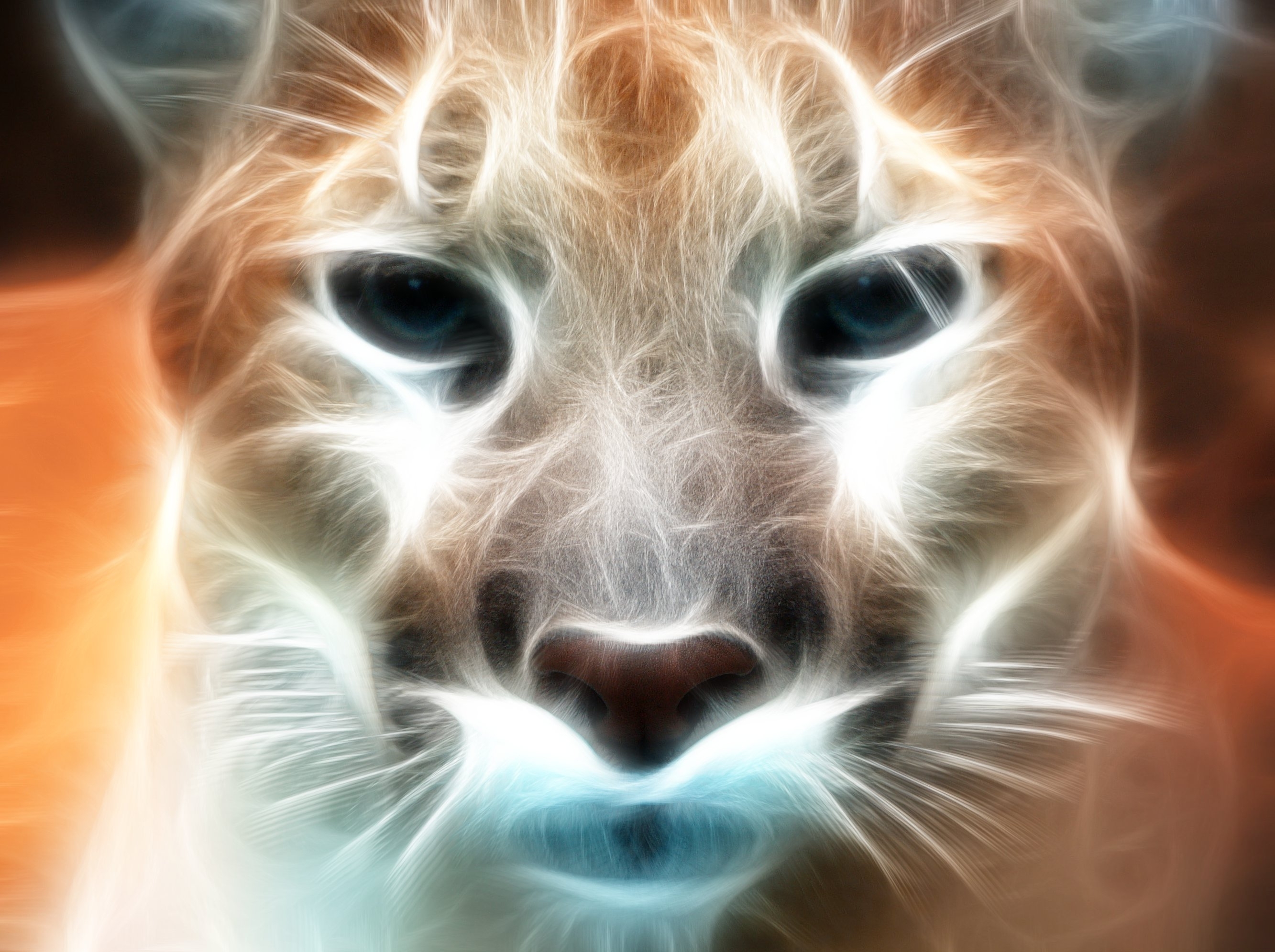 Baixe gratuitamente a imagem Animais, Gatos, Puma na área de trabalho do seu PC