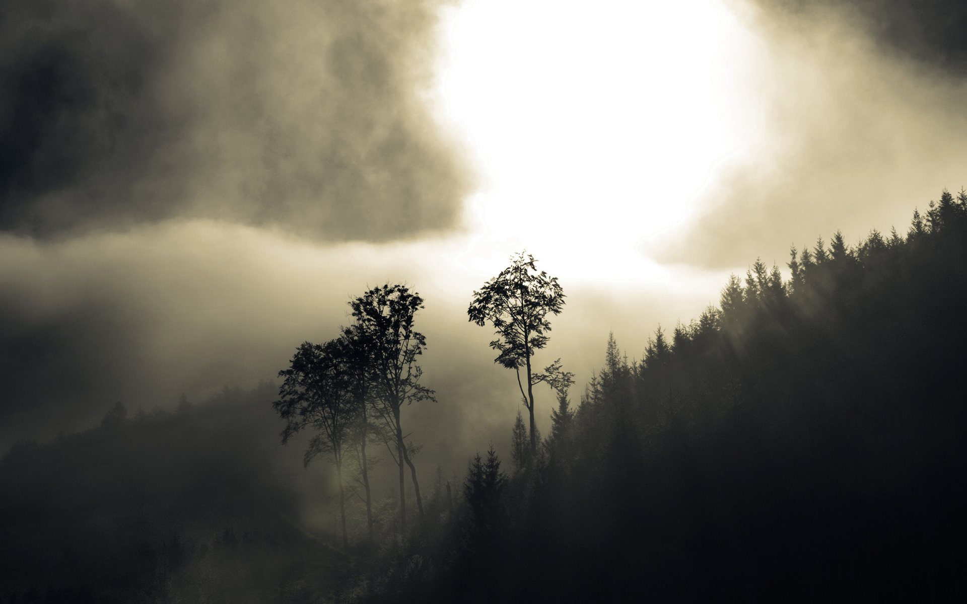 Handy-Wallpaper Nebel, Schwarz Weiß, Fotografie kostenlos herunterladen.