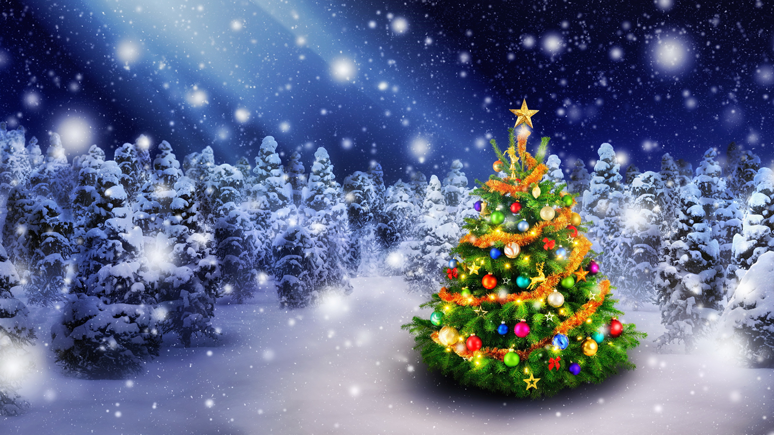 PCデスクトップにクリスマス, クリスマスツリー, ホリデー画像を無料でダウンロード