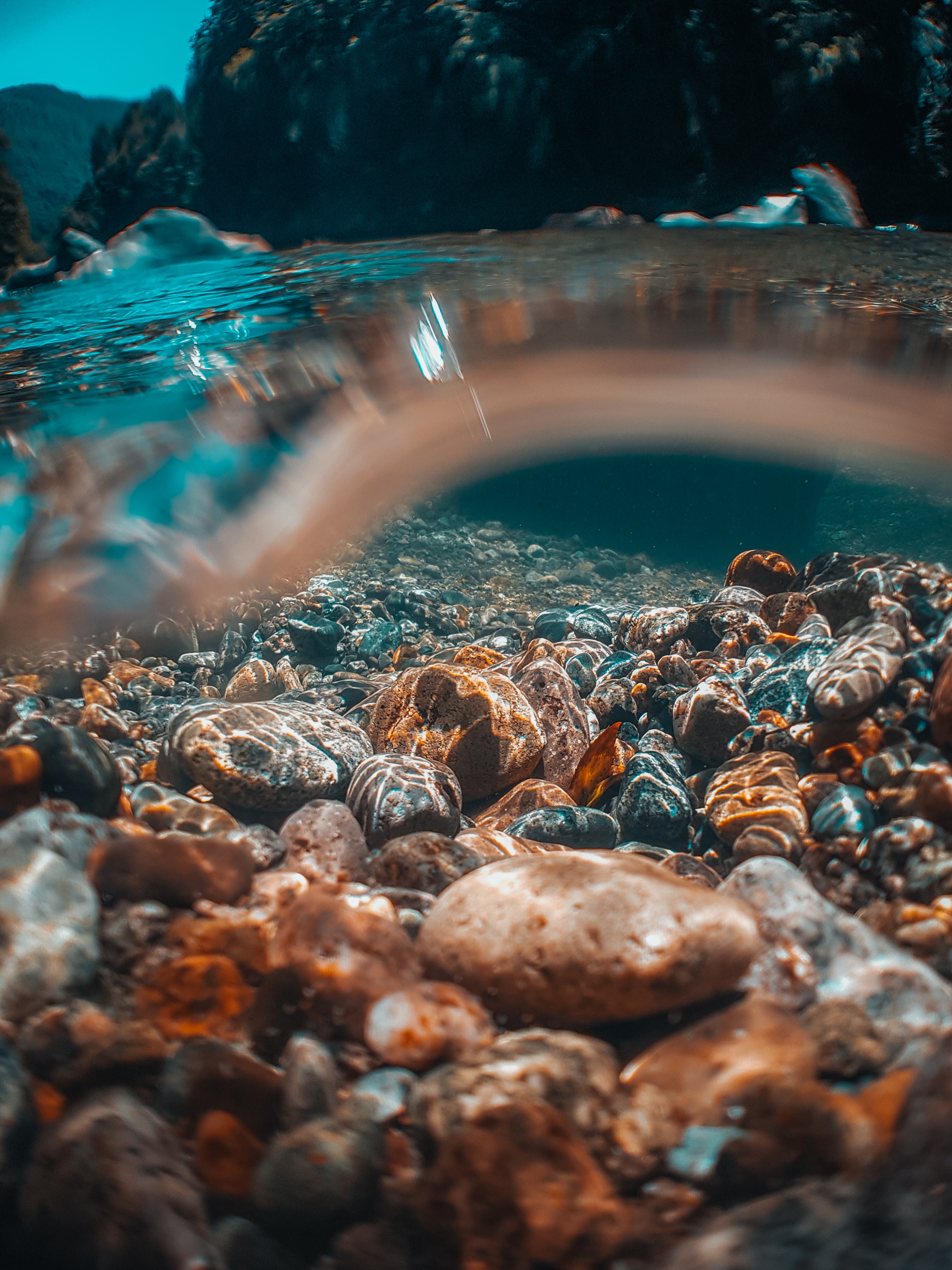 nature, transparent, bottom, immersion, submarine, water, stones, underwater 4K