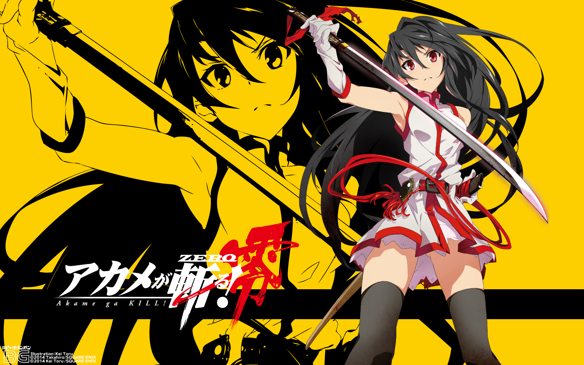 Download mobile wallpaper Anime, Akame Ga Kill! for free.