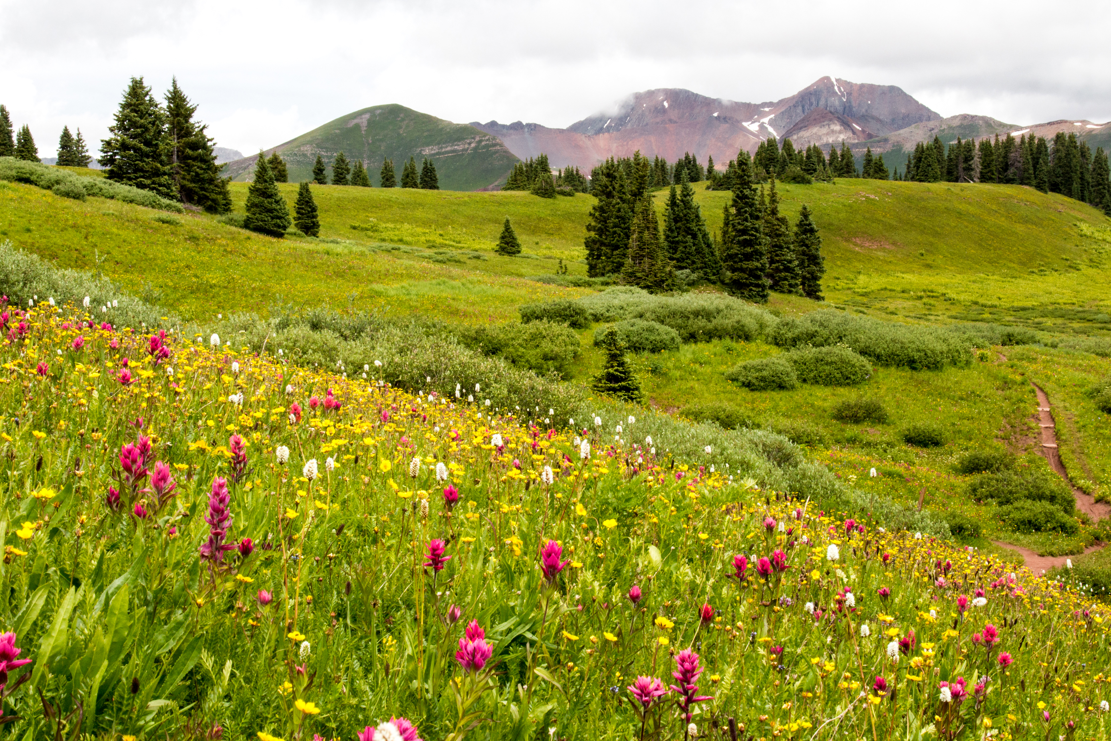 無料モバイル壁紙風景, 自然, 山, 花, 地球, 牧草地をダウンロードします。