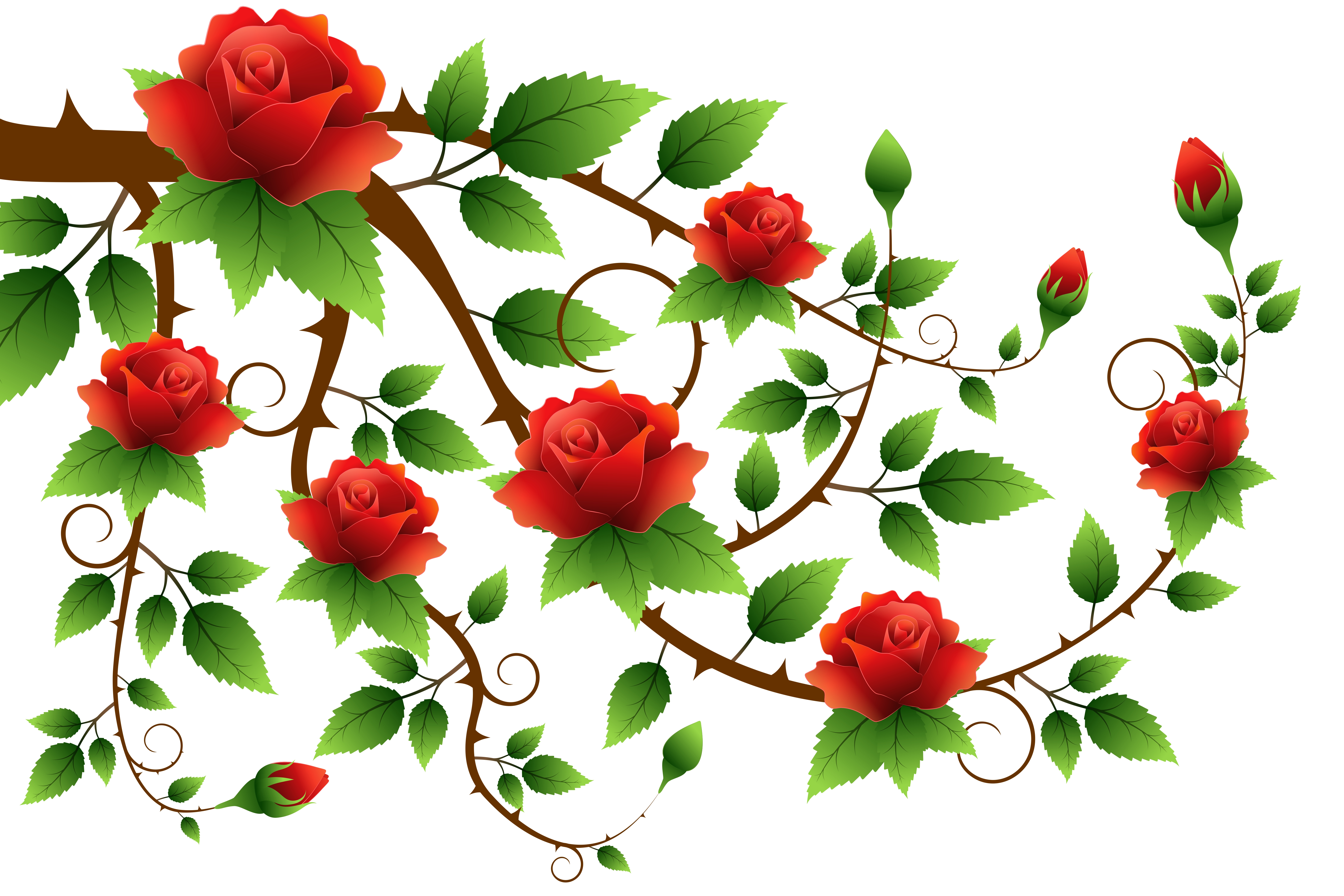 red rose, rose, artistic, leaf, red, vine