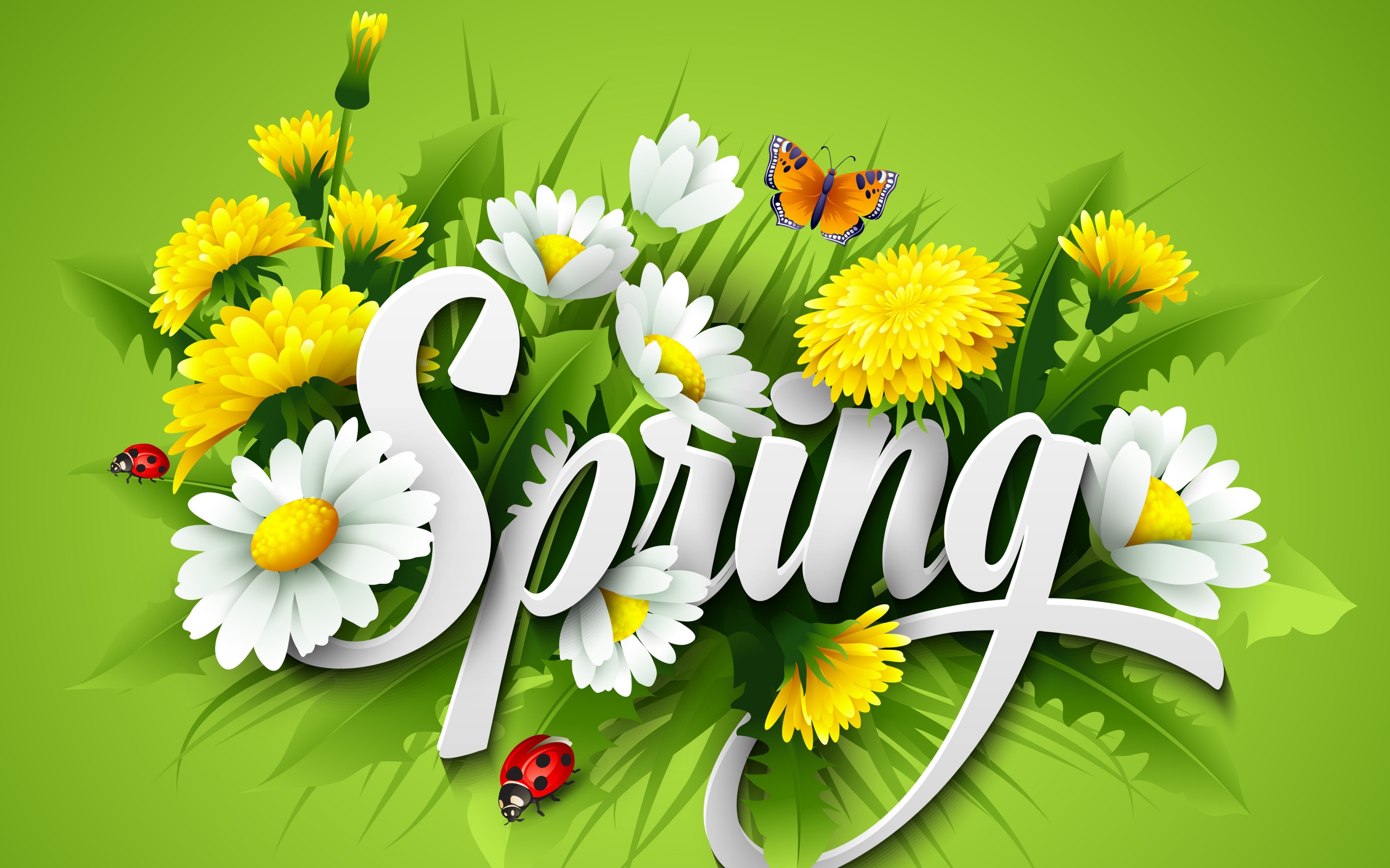 821860 завантажити картинку весна, слово, художній, помилка, метелик, квітка, сонечко - шпалери і заставки безкоштовно