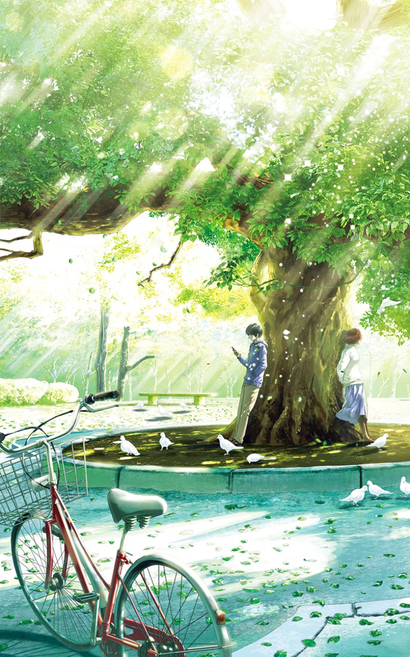 Download mobile wallpaper Anime, Tree, Bicycle, Original, Sunbeam, Sunbean for free.