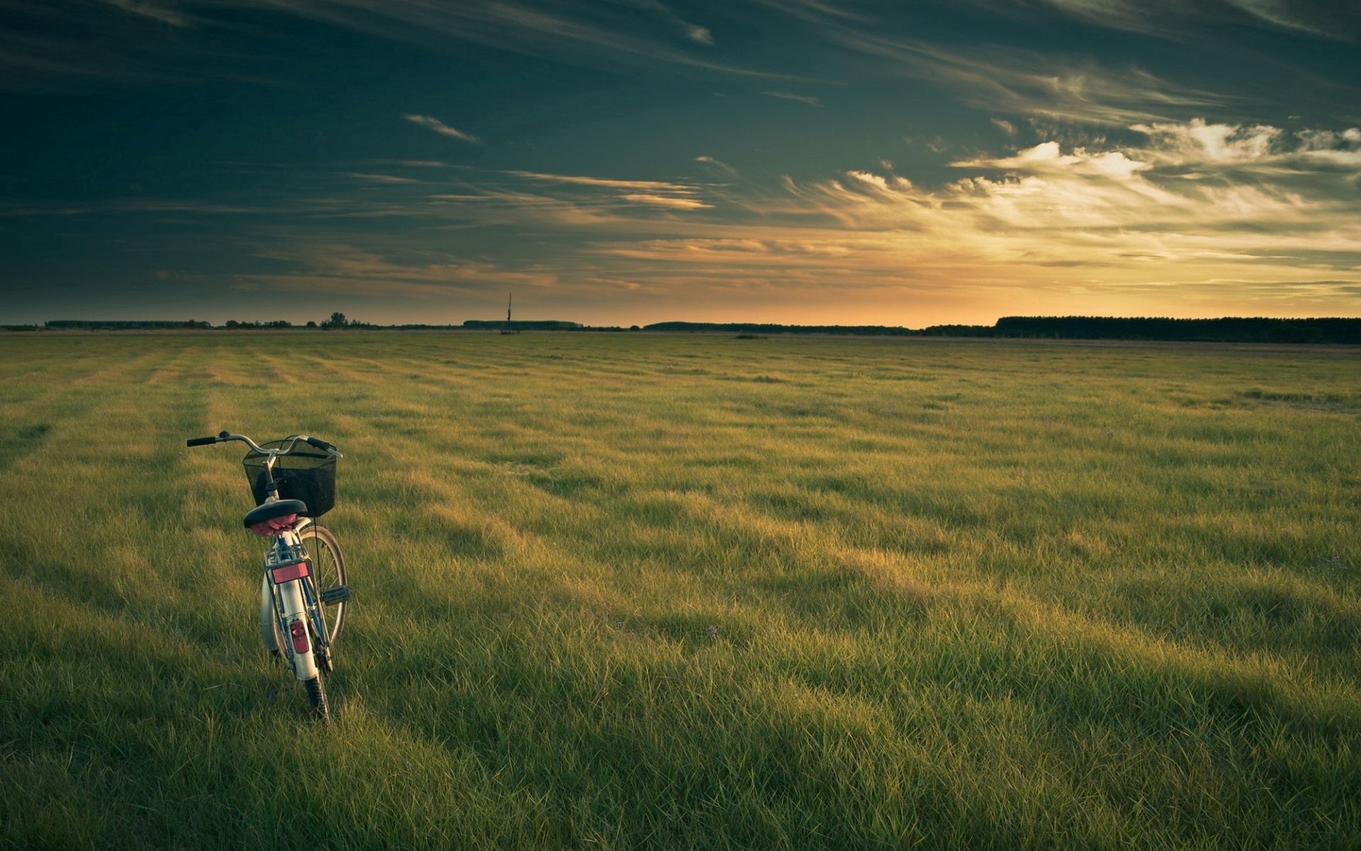 Free download wallpaper Grass, Nature, Evening, Bicycle, Field on your PC desktop