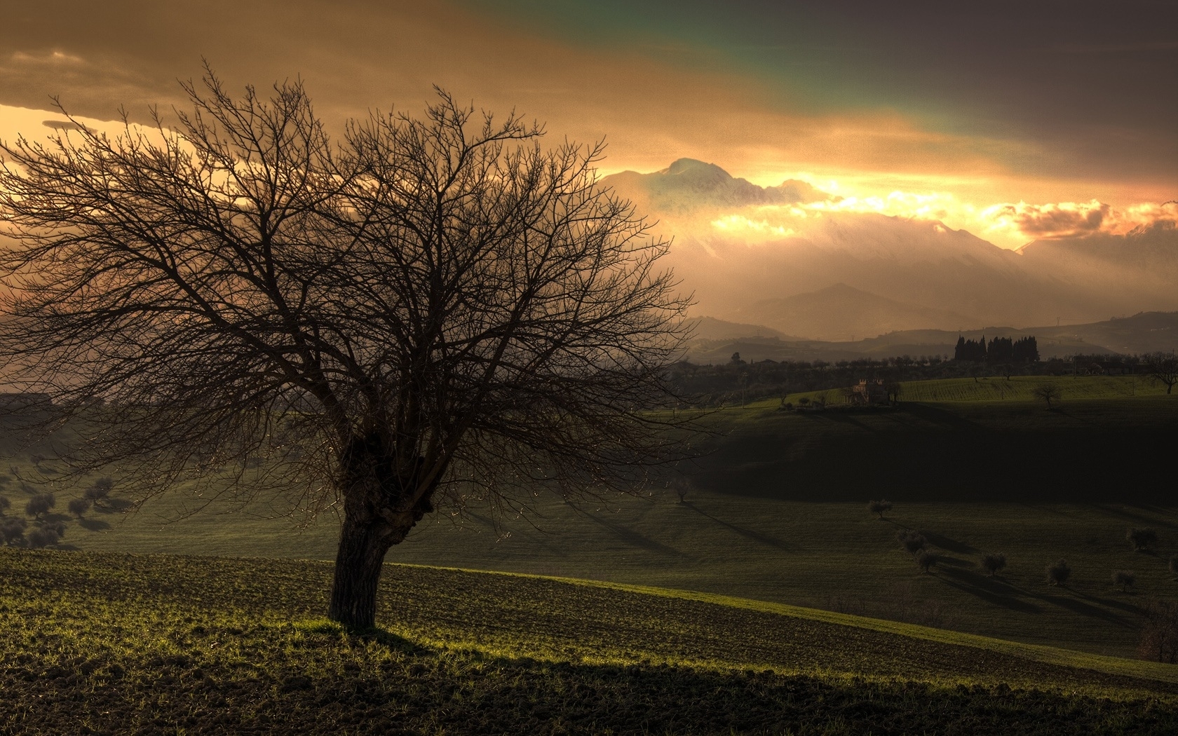 Download mobile wallpaper Sunset, Trees, Landscape, Fields for free.