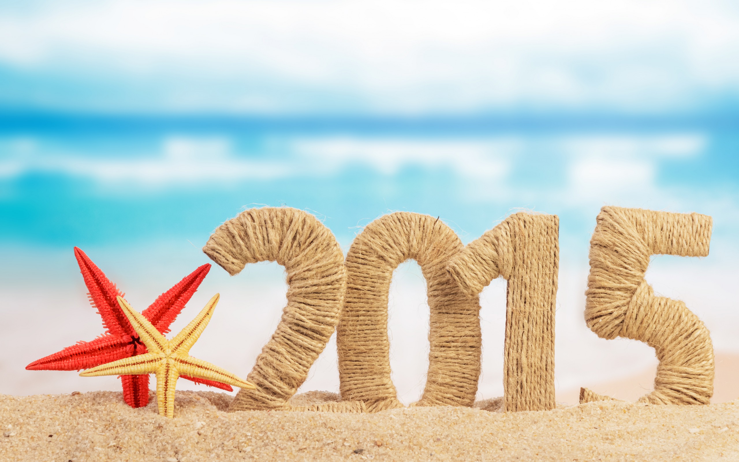 Téléchargez gratuitement l'image Vacances, Étoile De Mer, Nouvel An 2015 sur le bureau de votre PC