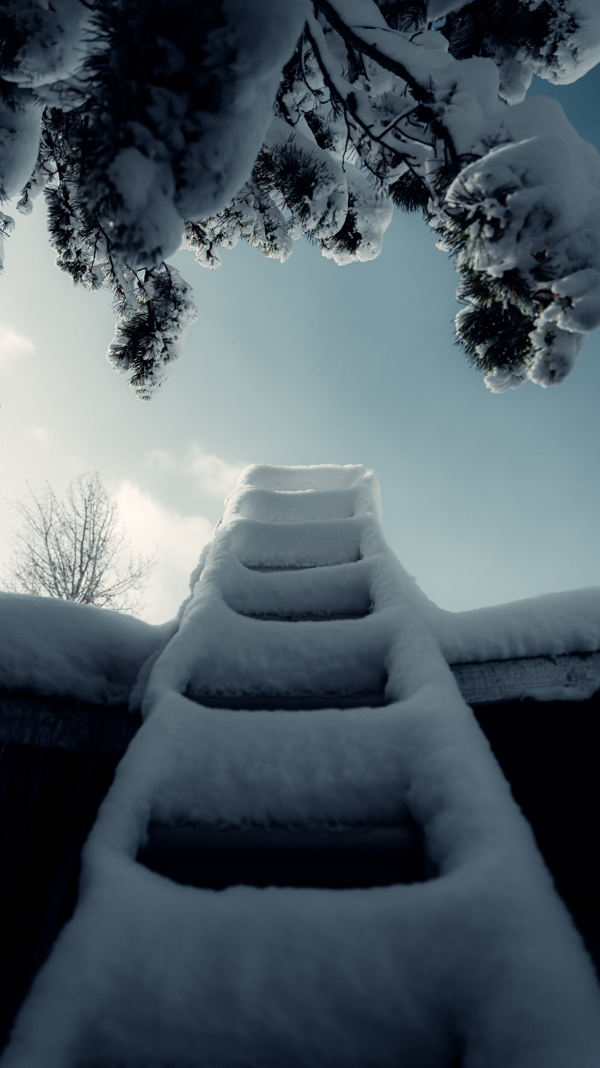 Download mobile wallpaper Ladder, Winter, Snow, Miscellanea, Miscellaneous, Branch, Stairs for free.