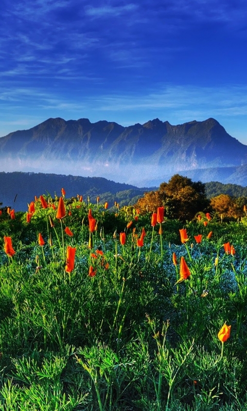 Descarga gratuita de fondo de pantalla para móvil de Montañas, Montaña, Tierra/naturaleza.