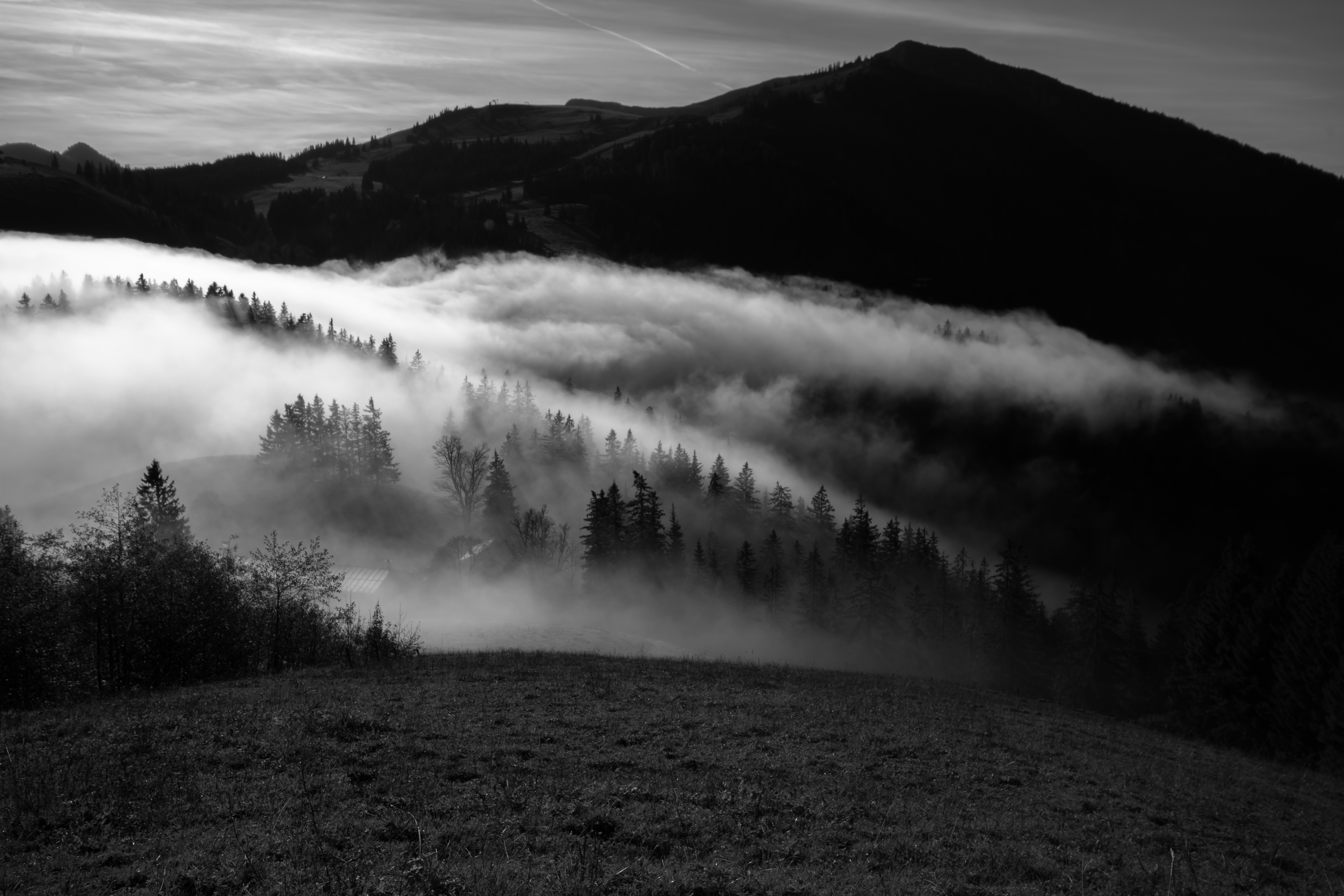 bw, nature, trees, mountain, fog, hills, chb HD wallpaper