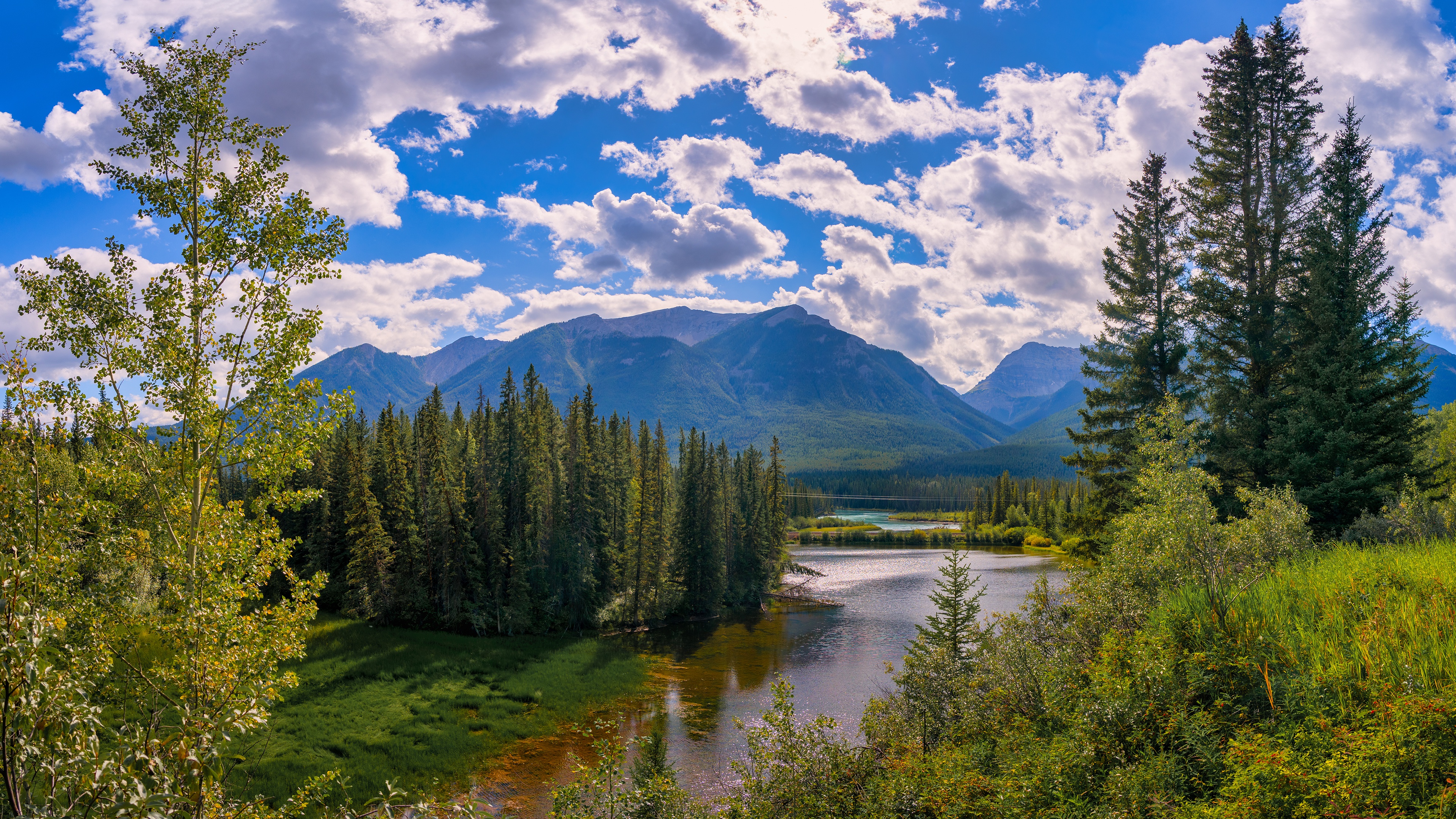Скачать картинку Пейзаж, Облака, Гора, Канада, Лес, Альберта, Земля/природа в телефон бесплатно.