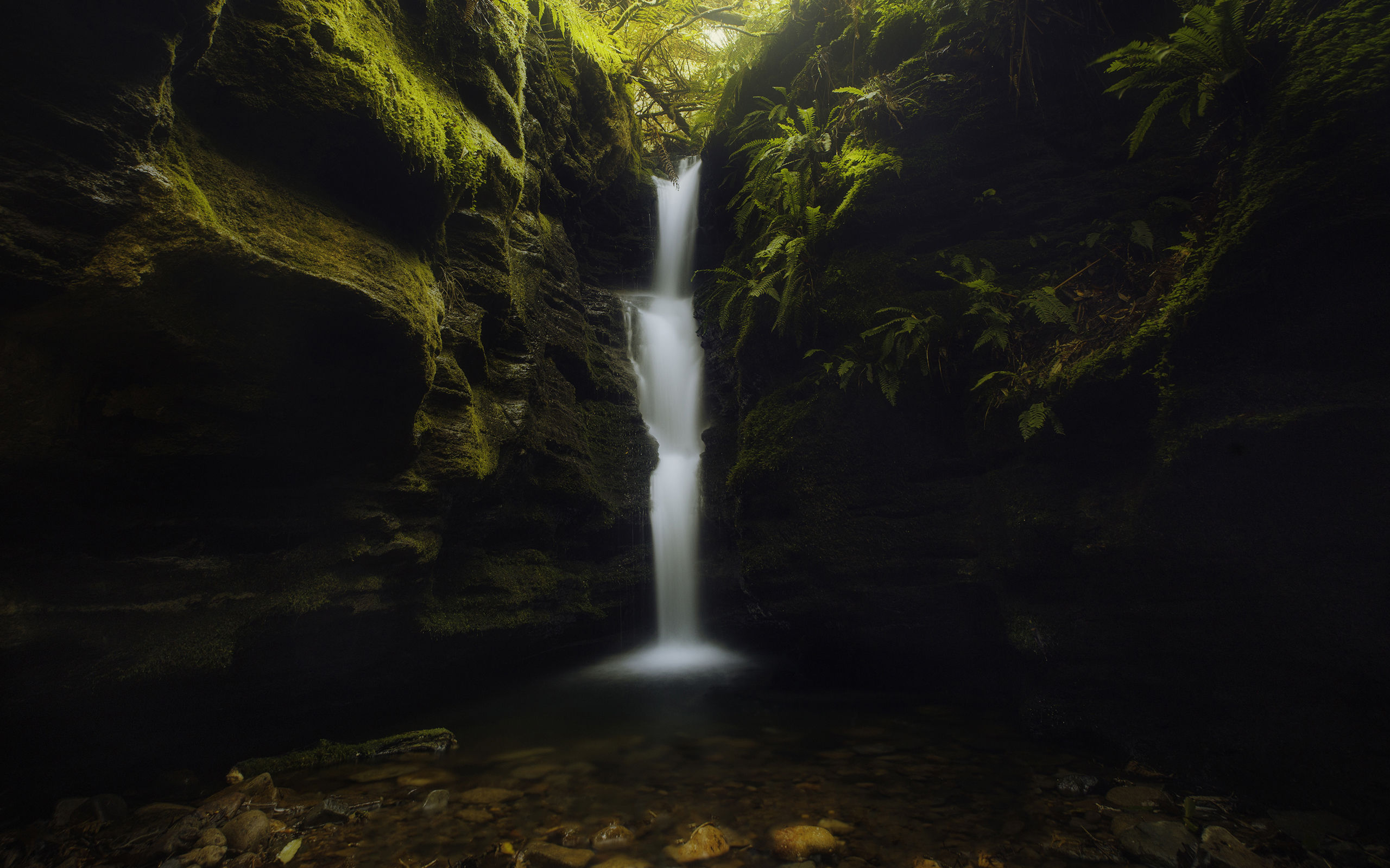 Free download wallpaper Waterfalls, Waterfall, Fern, Earth on your PC desktop