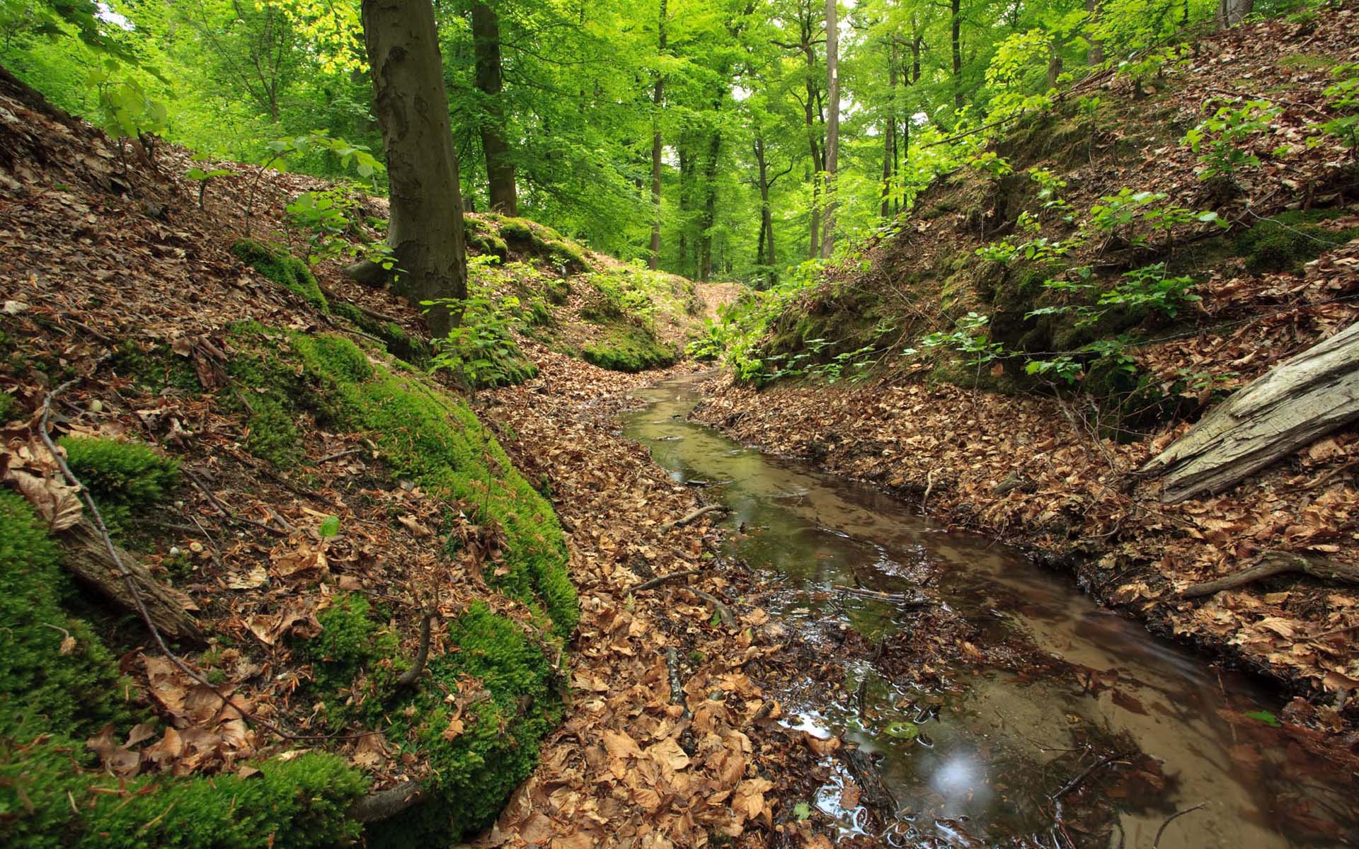 Laden Sie das Strom, Erde/natur-Bild kostenlos auf Ihren PC-Desktop herunter