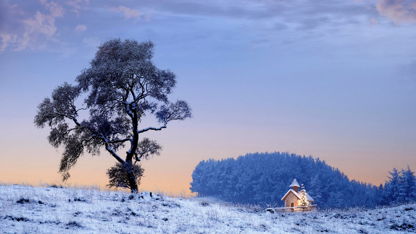 Handy-Wallpaper Winter, Fotografie kostenlos herunterladen.