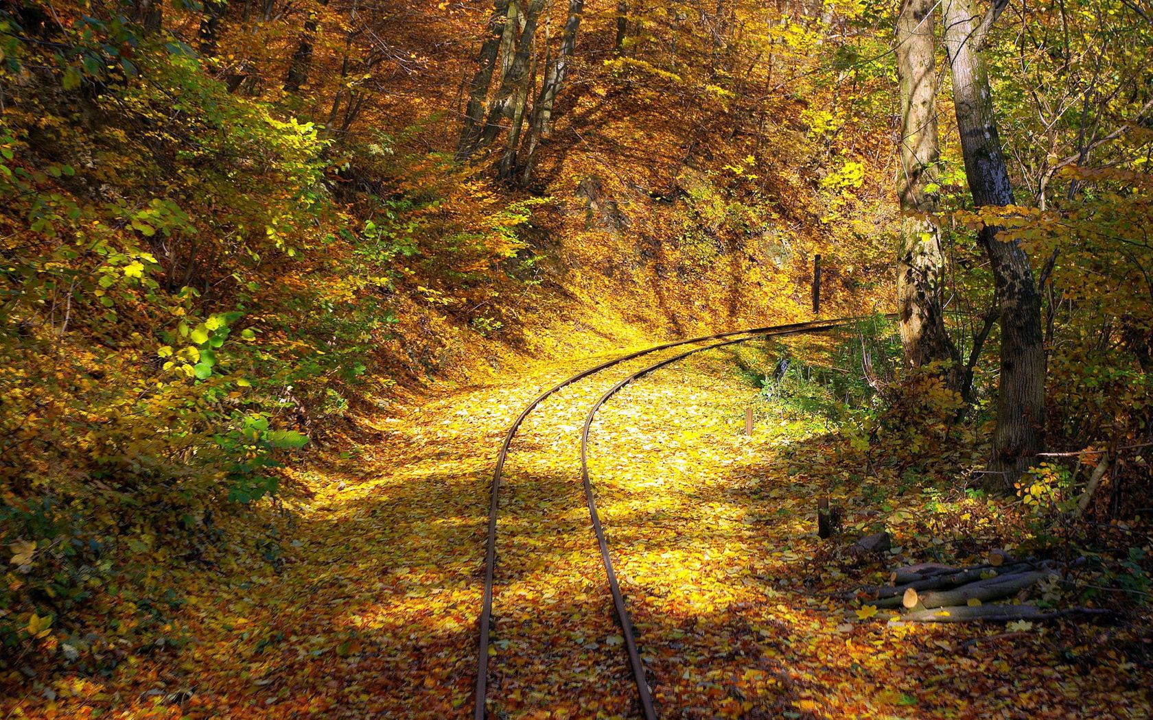 fall, rails, nature, turn, forest, leaf fall, railway HD wallpaper