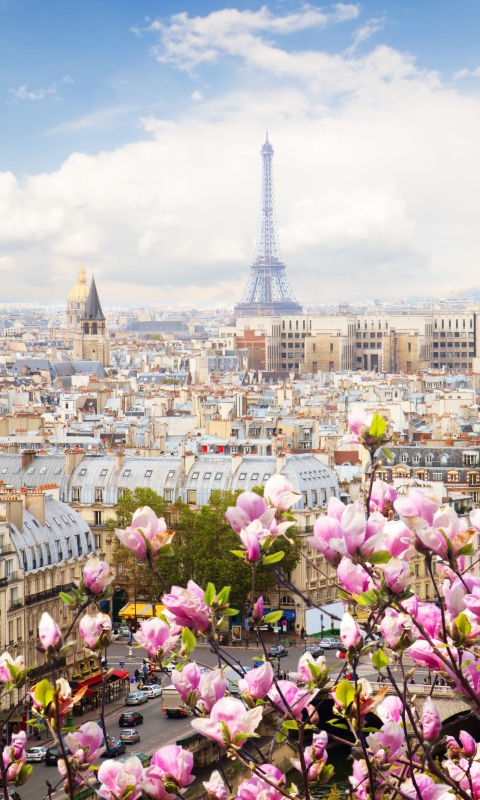 Download mobile wallpaper Cities, Paris, Eiffel Tower, City, France, Cityscape, Spring, Blossom, Man Made for free.