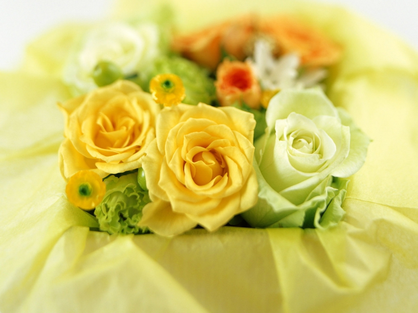 Téléchargez gratuitement l'image Plantes, Fleurs, Bouquets, Roses sur le bureau de votre PC