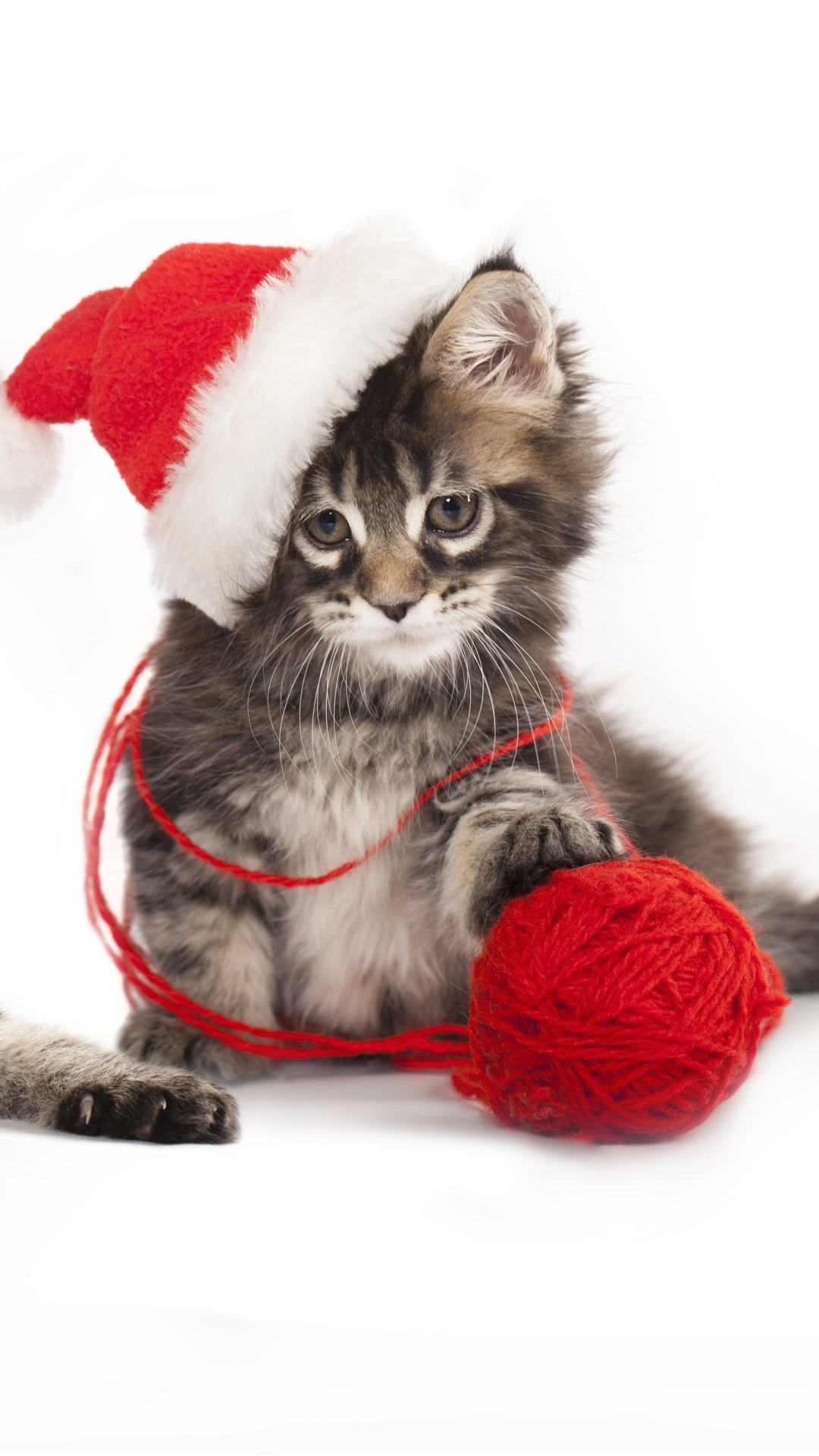 Download mobile wallpaper Cats, Cat, Kitten, Ball, Animal, Hat for free.
