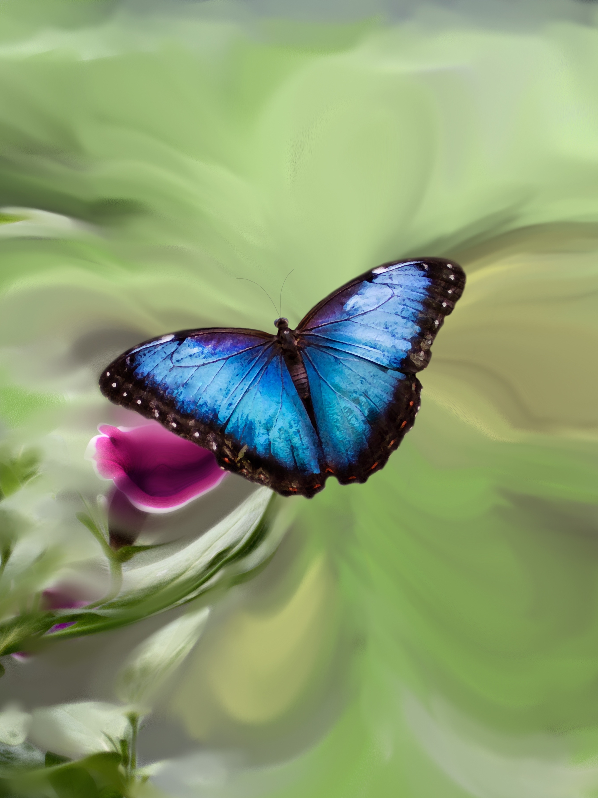 Download mobile wallpaper Flower, Insect, Butterfly, Artistic for free.