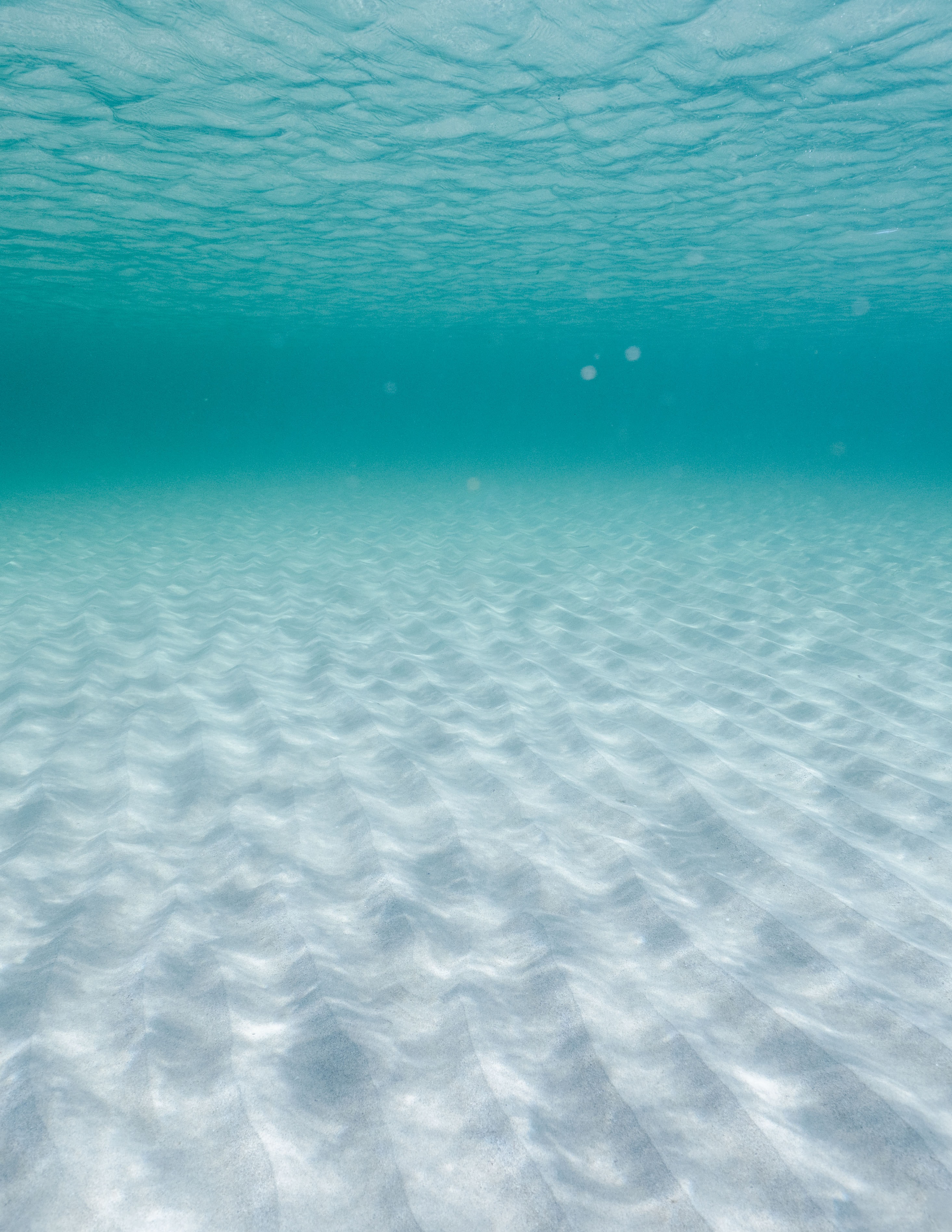 underwater, under water, ripples, sand, depth, nature, ripple