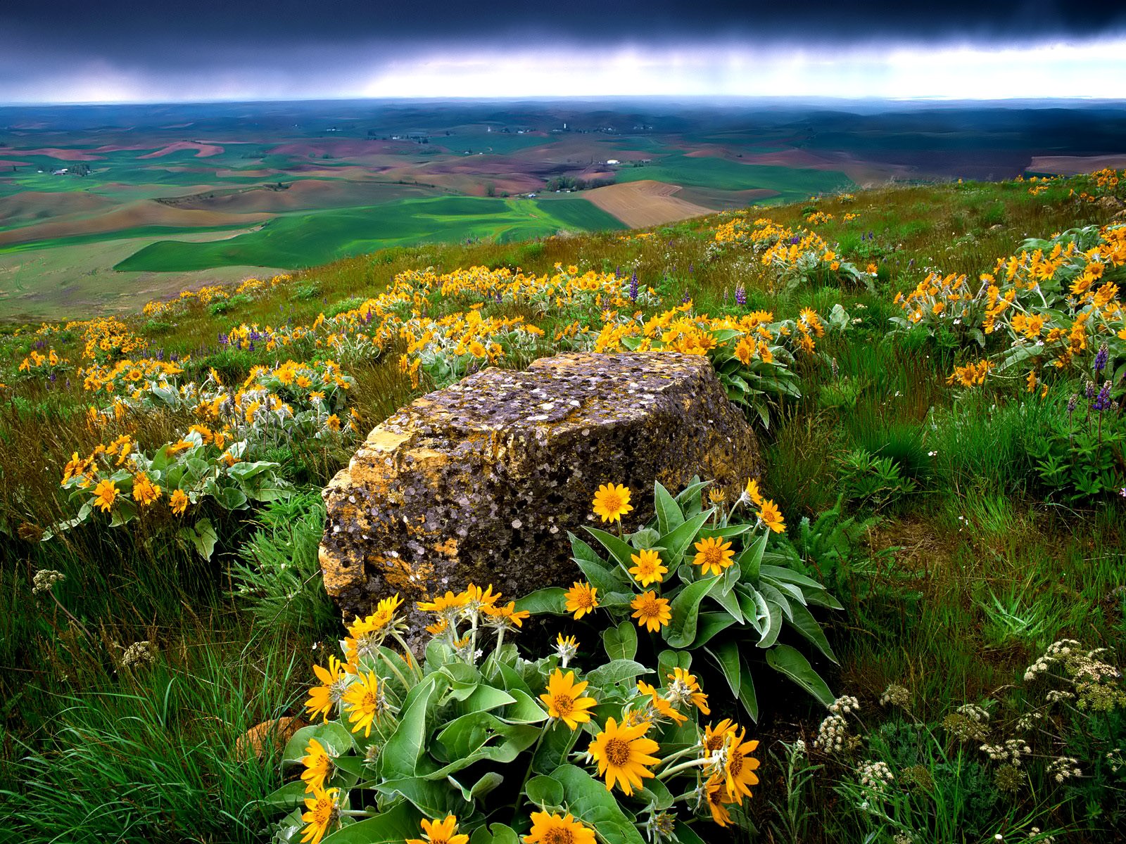 Téléchargez gratuitement l'image Paysage, Terre/nature sur le bureau de votre PC