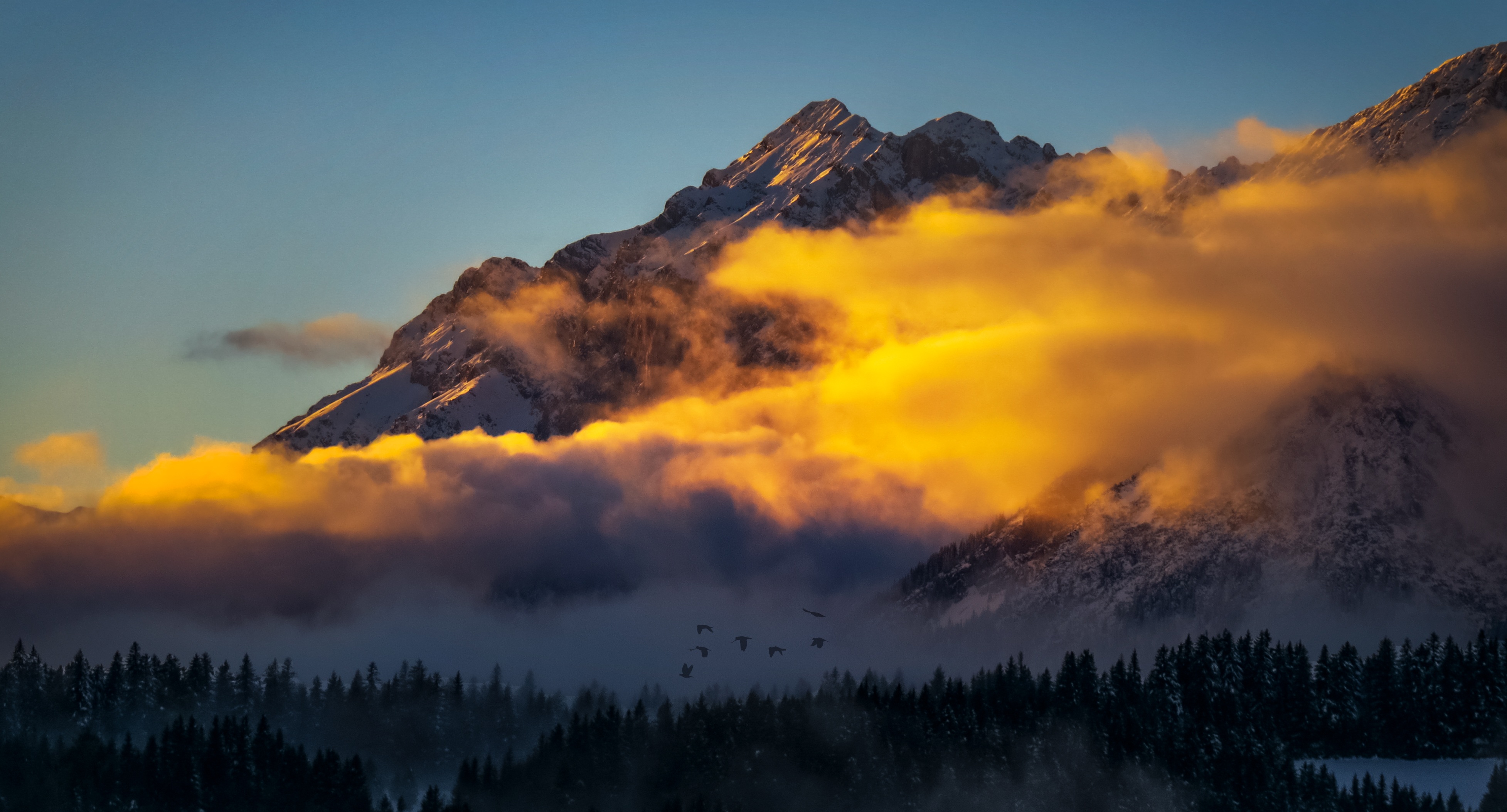 Laden Sie das Natur, Wald, Nebel, Österreich, Gebirge, Wolke, Berge, Erde/natur-Bild kostenlos auf Ihren PC-Desktop herunter