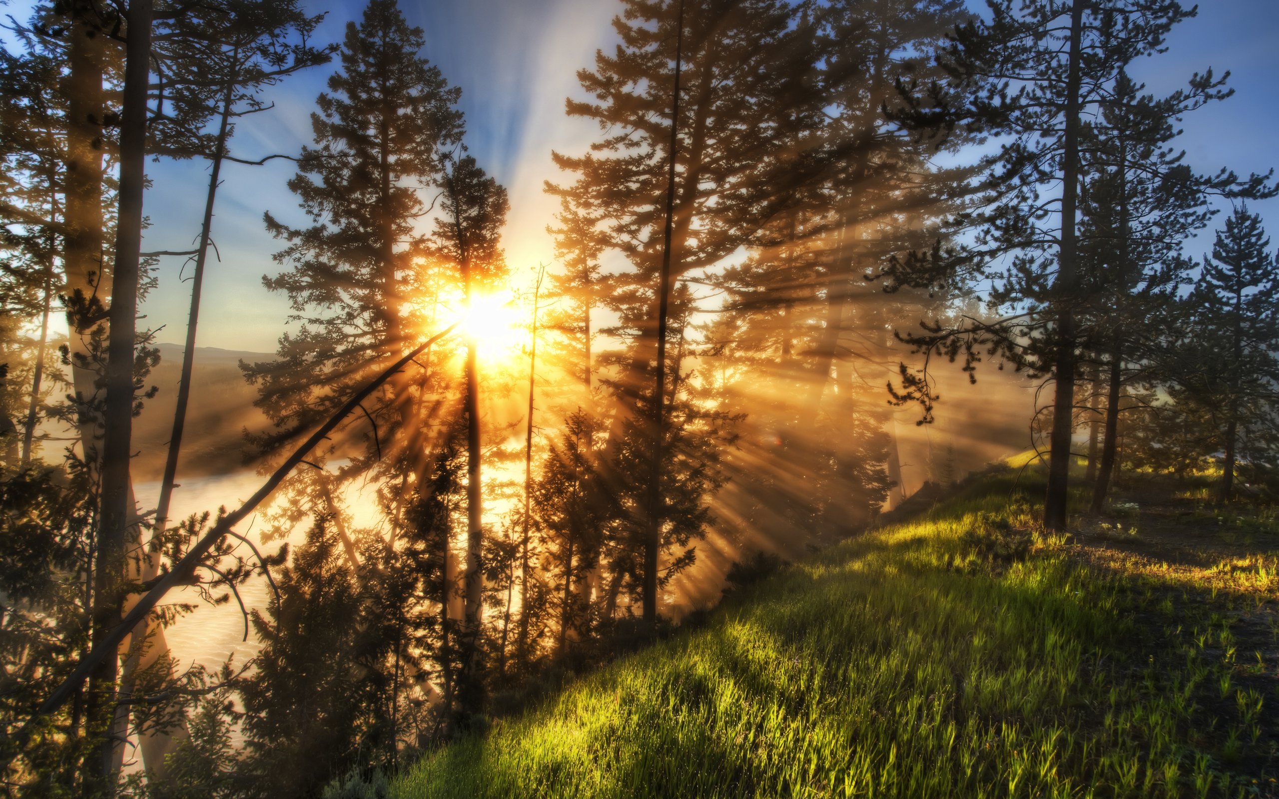 Descarga gratis la imagen Rayo De Sol, Tierra/naturaleza en el escritorio de tu PC